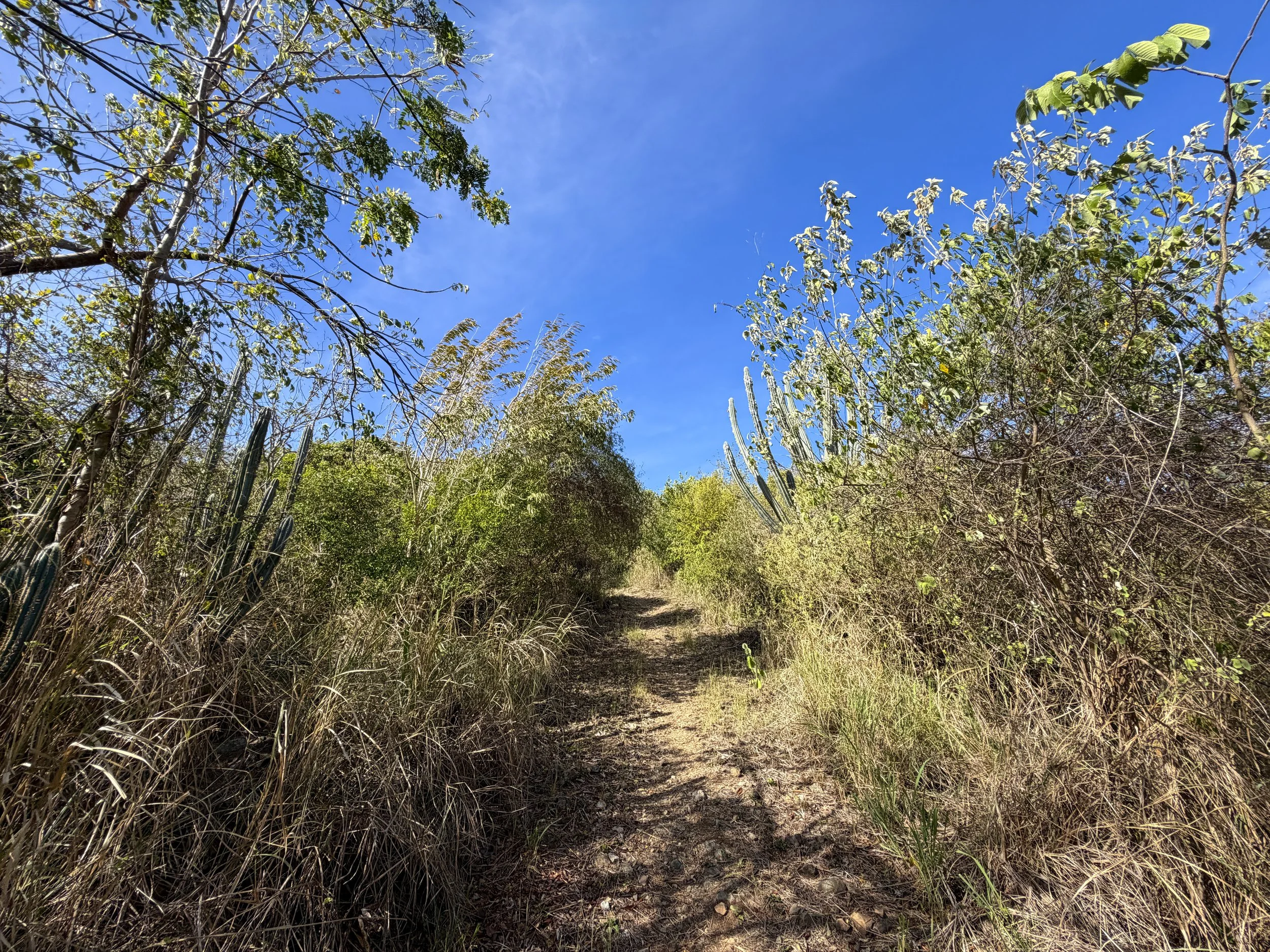 Tektite Trail Virgin Islands National Park