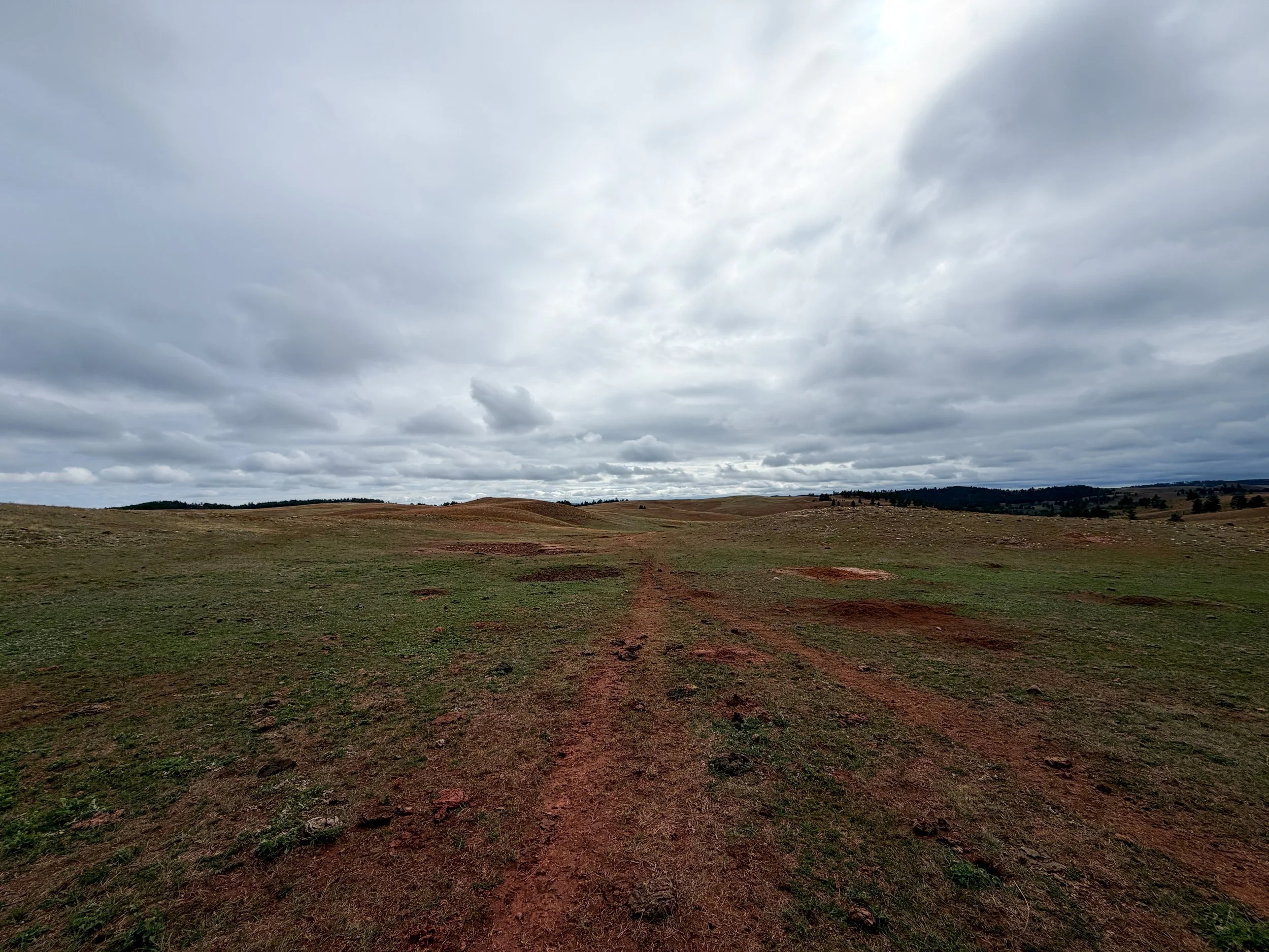 Highland Creek Trail Wind Cave National Park South Dakota