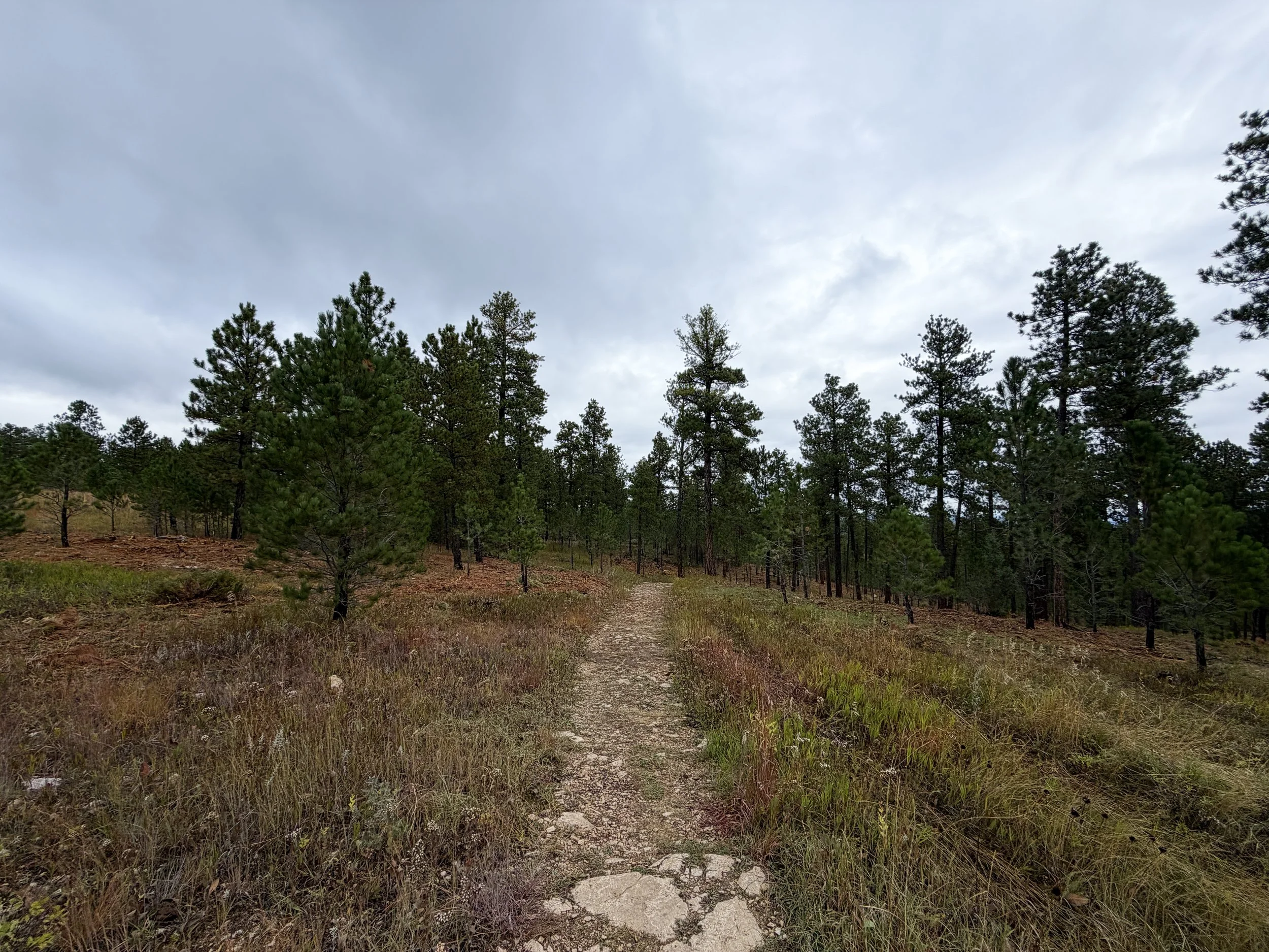 Buzzards Roost Loop Trail Black Hills Rapid City South Dakota