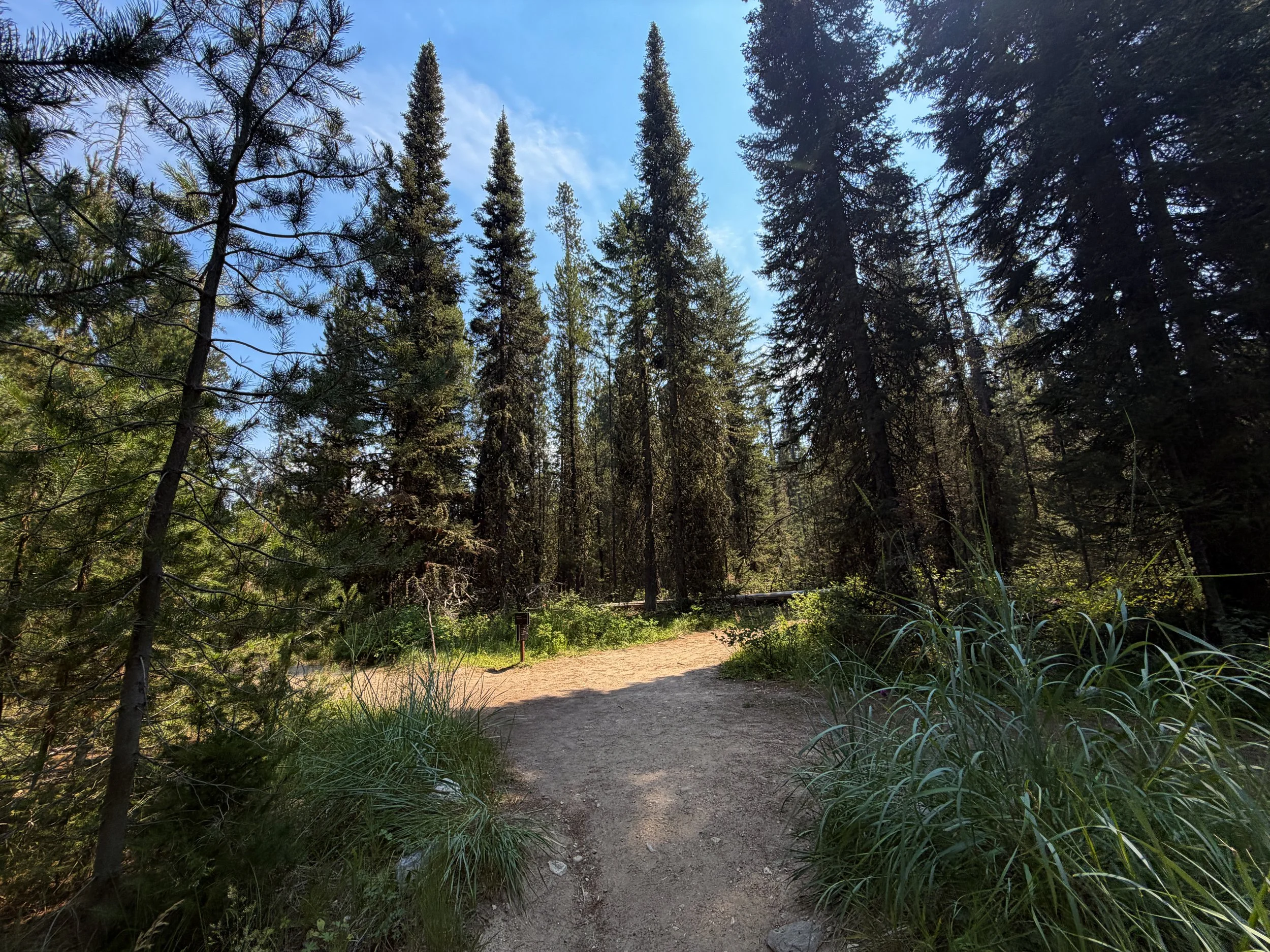 Phelps Lake Loop Trail Grand Teton National Park Wyoming