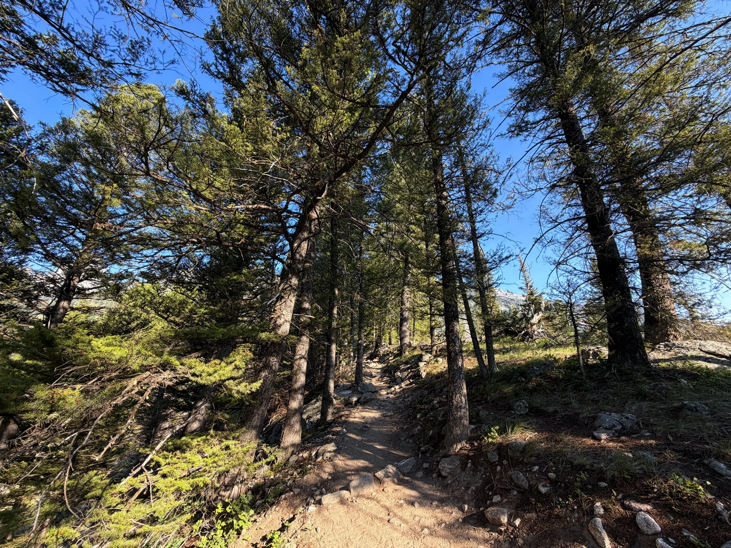 Delta Lake Trail Grand Teton National Park Wyoming
