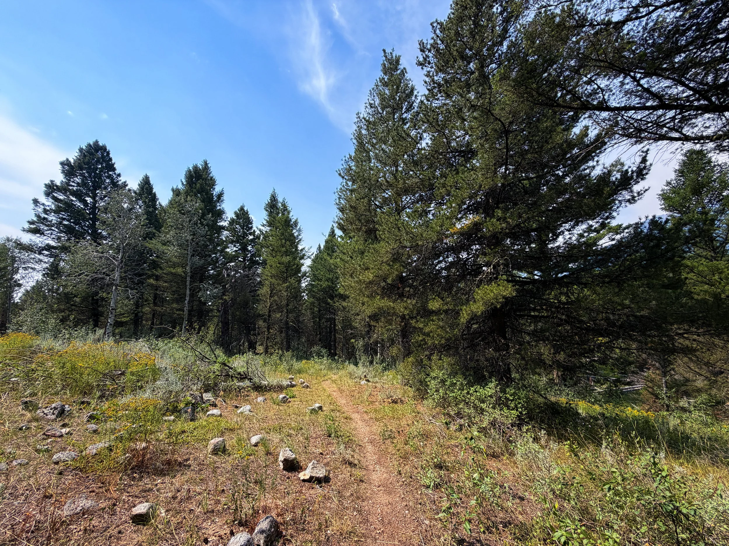 Boulder Ridge Trail Grand Teton National Park Wyoming