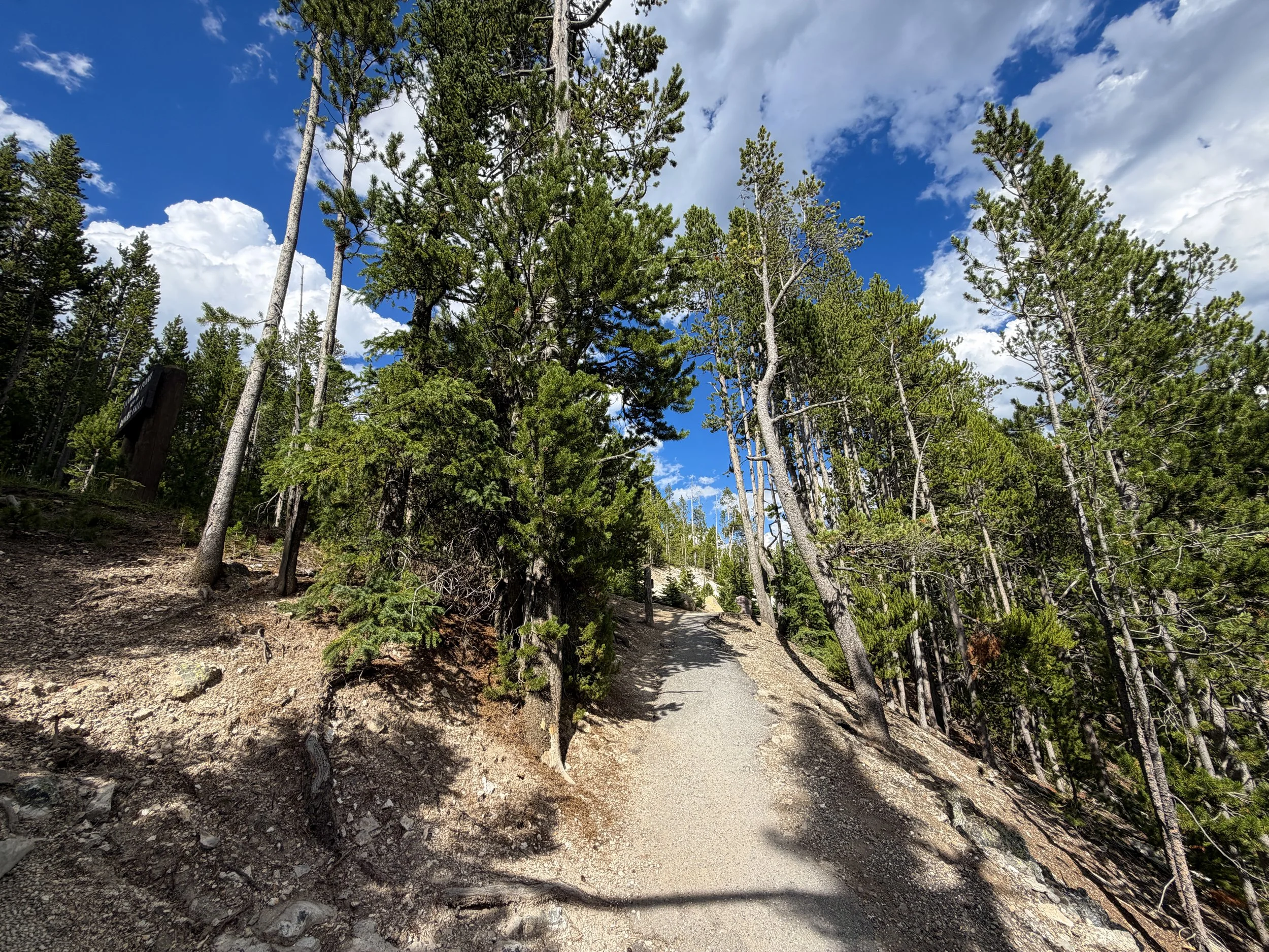North Rim Trail Yellowstone National Park Wyoming