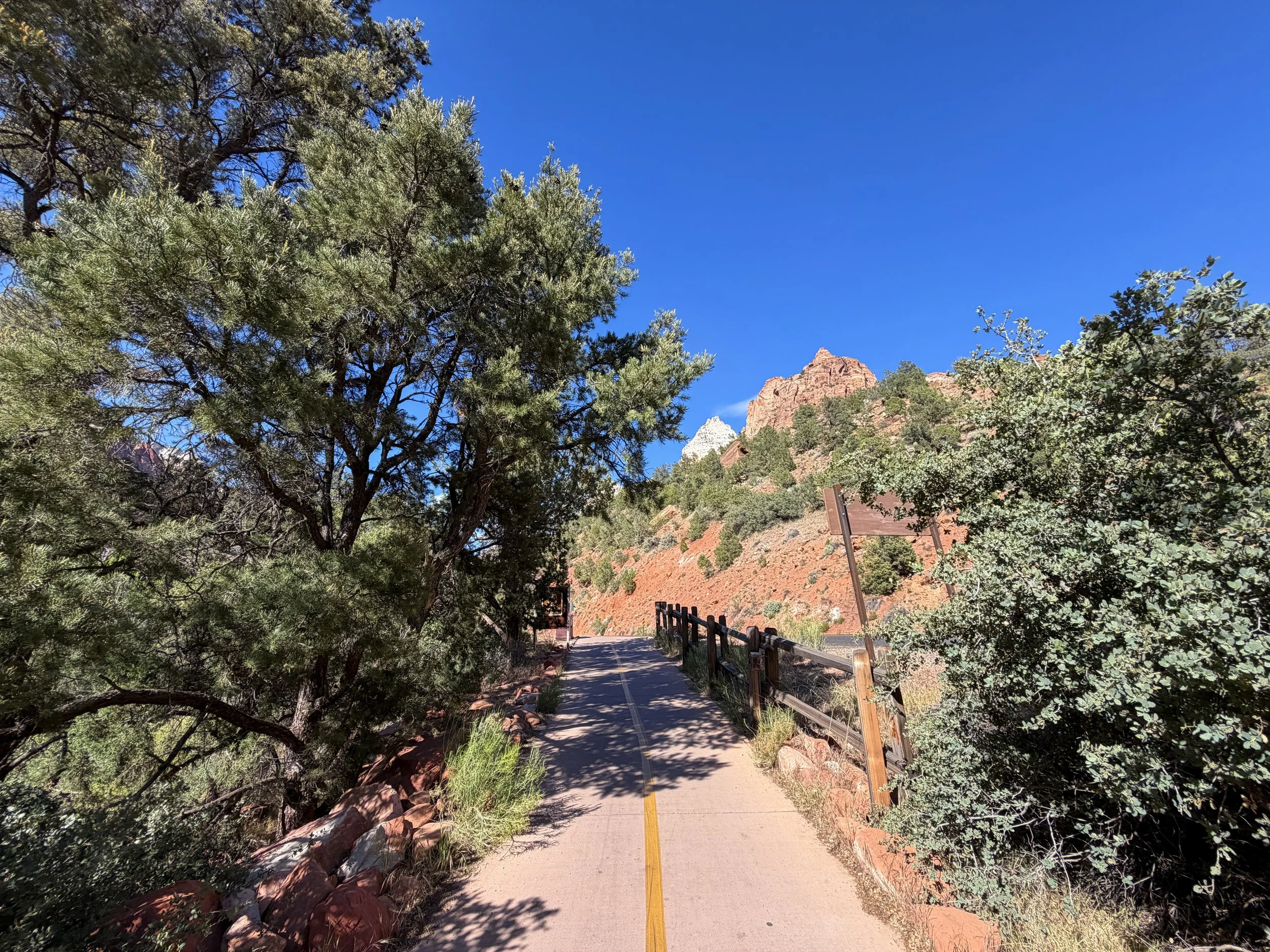 Parus Trailhead Canyon Junction Zion National Park Utah