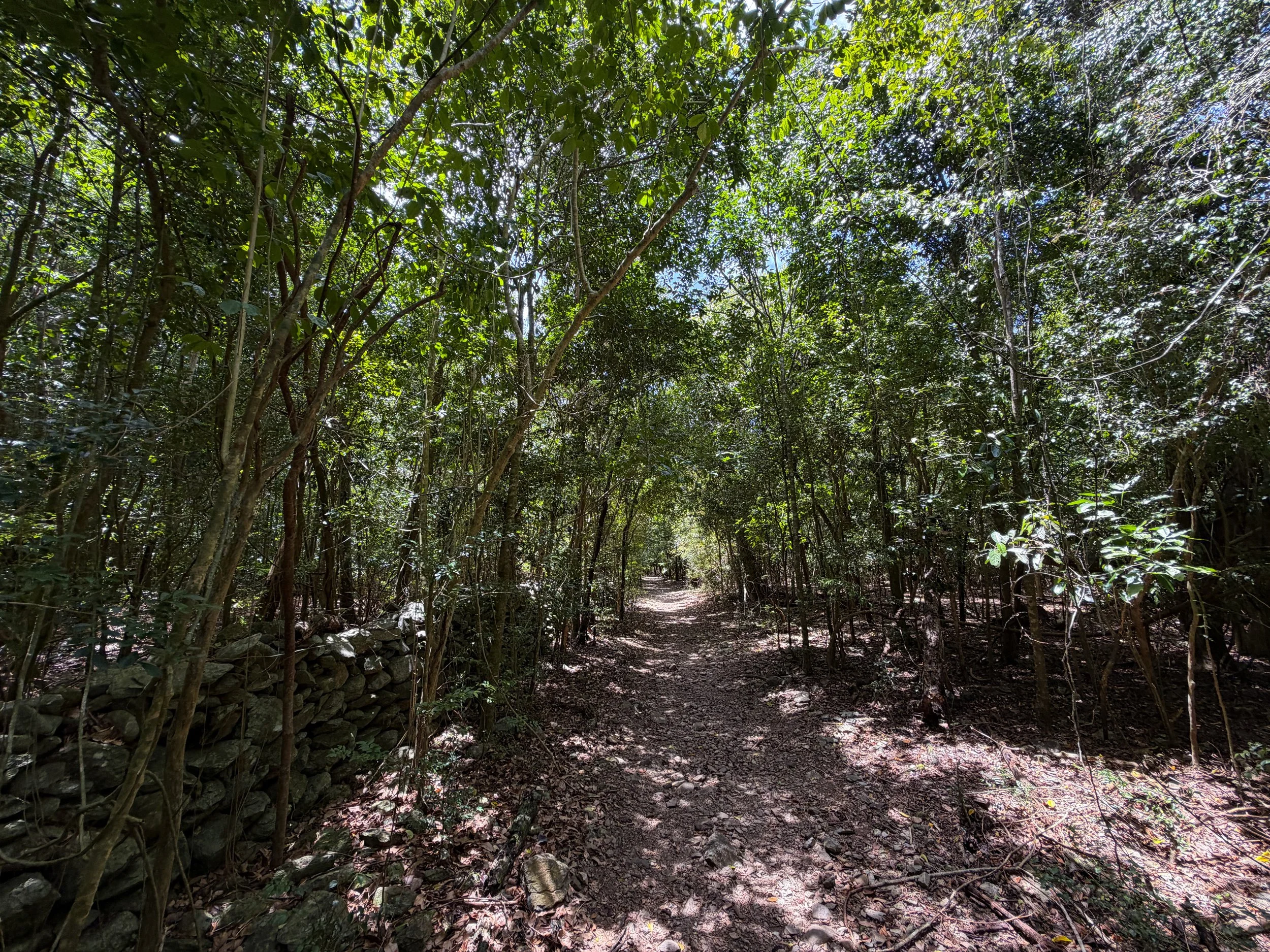 Reef Bay Trail Virgin Islands National Park