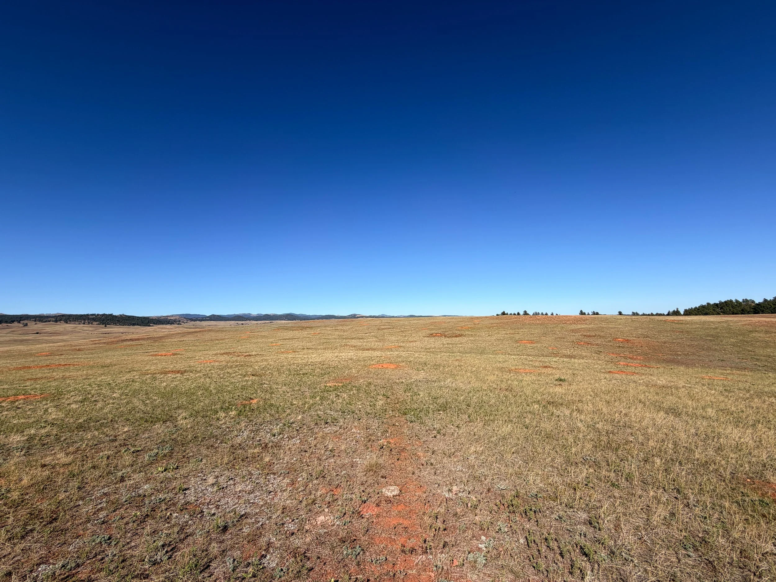 East Bison Flats Trail Wind Cave National Park South Dakota