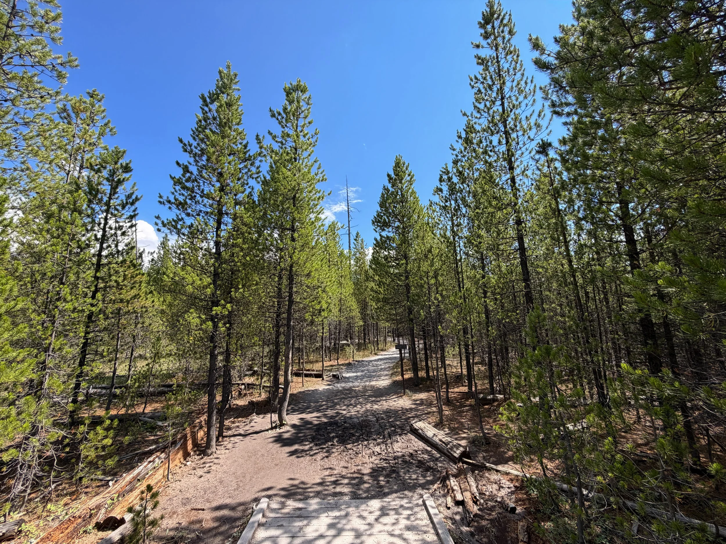 Artists Paintpots Trail Yellowstone National Park Wyoming