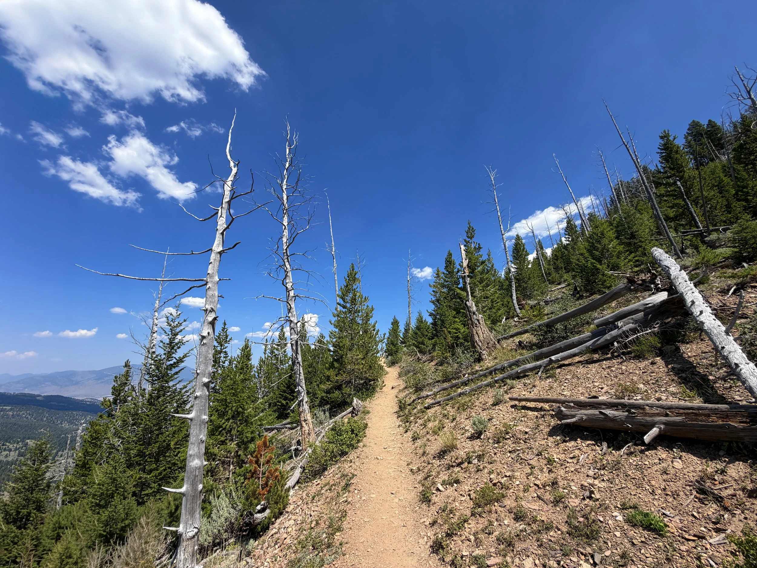 Bunsen Peak Hike Yellowstone National Park Wyoming