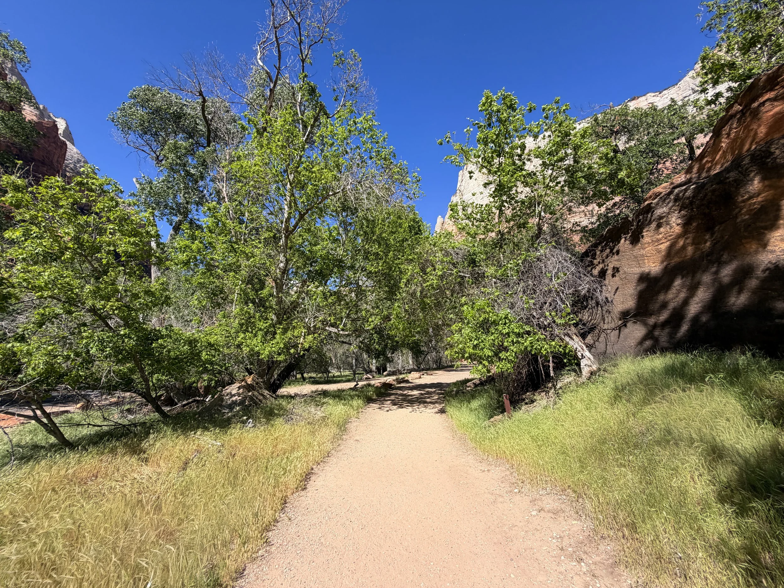 Grotto Hike Zion National Park Utah
