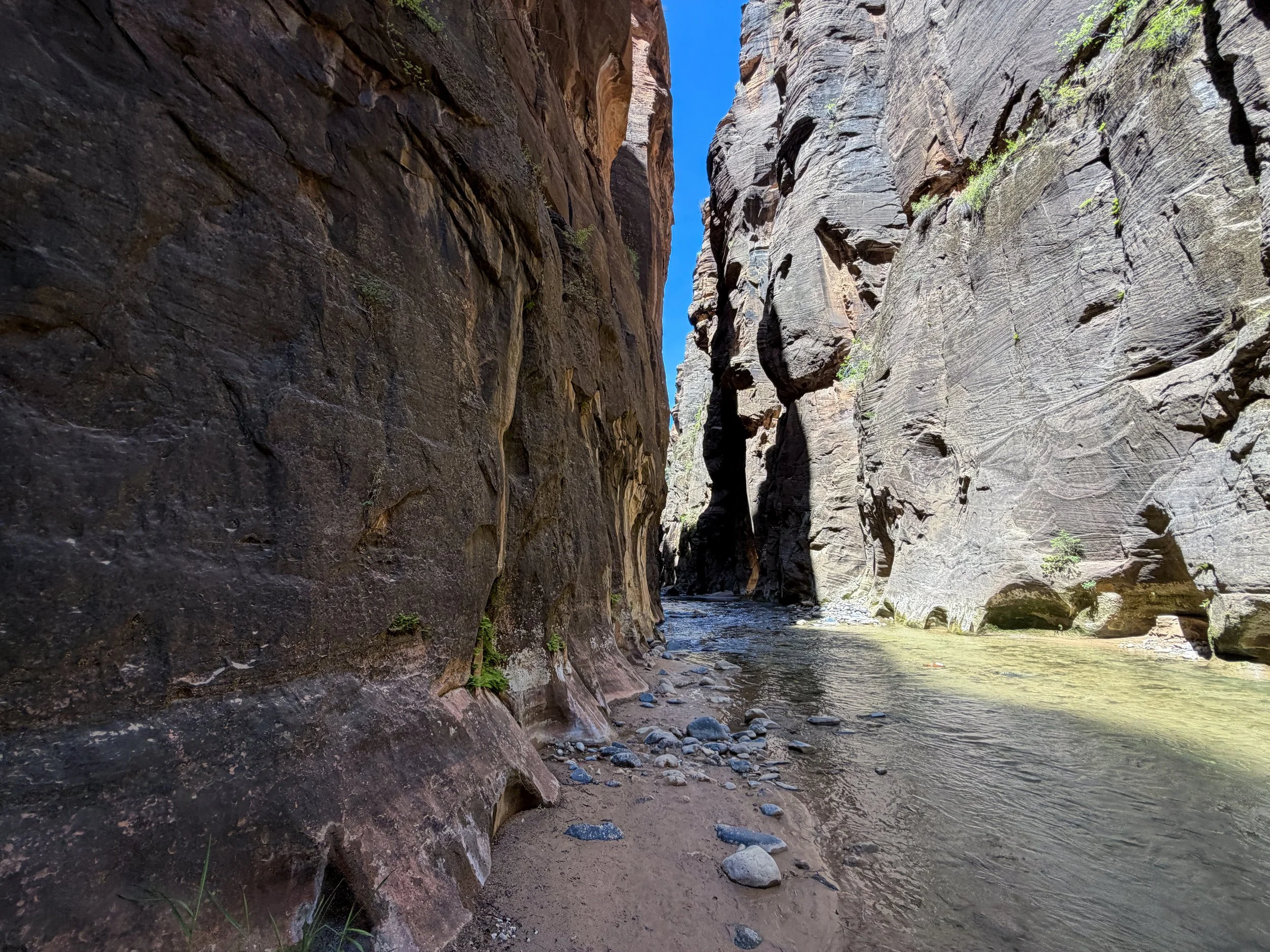 The Narrows Bottom Up to Big Springs Zion National Park Utah