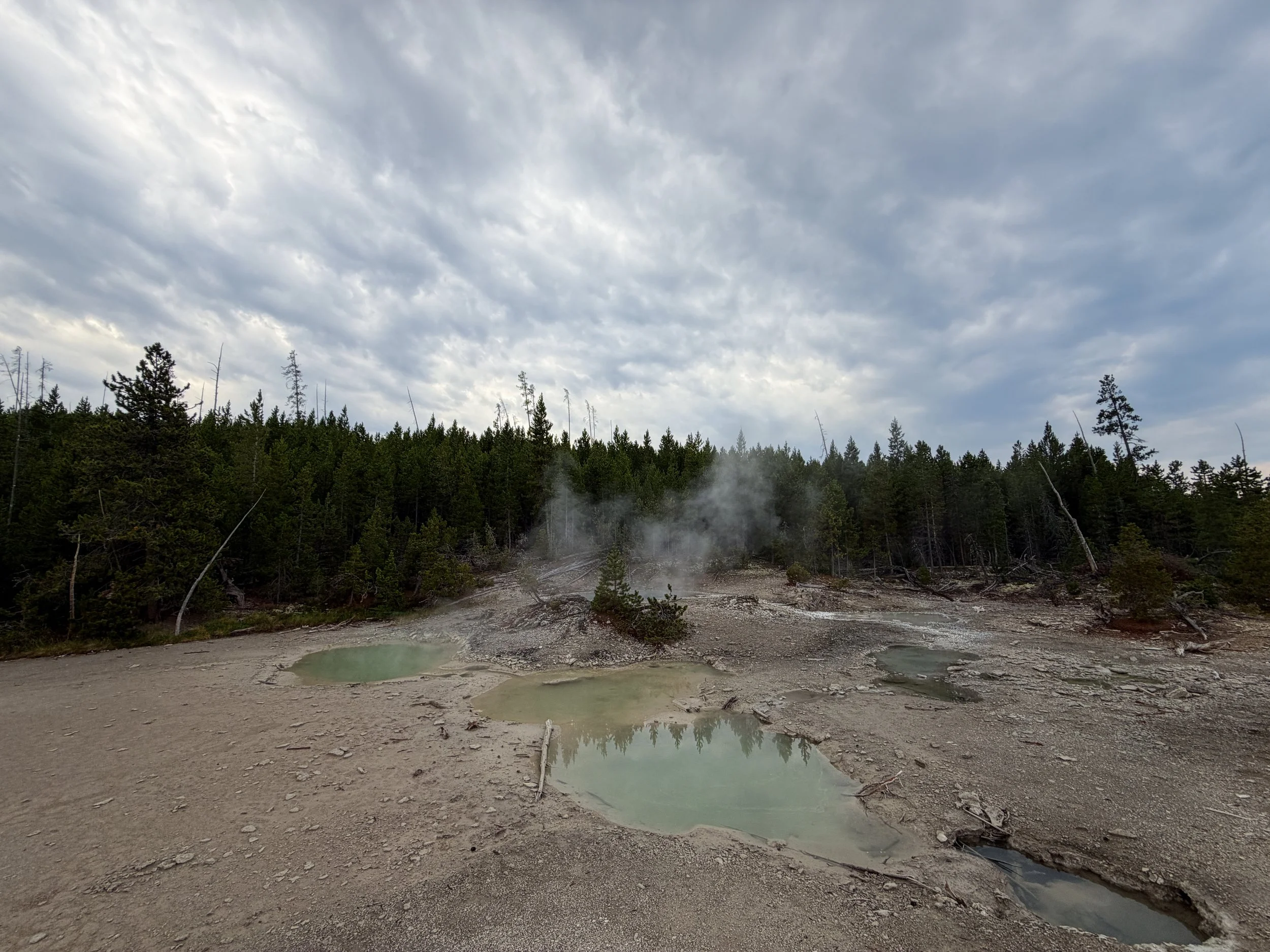Dishwater Spring Norris Geyser Basin Trail Yellowstone National Park Wyoming