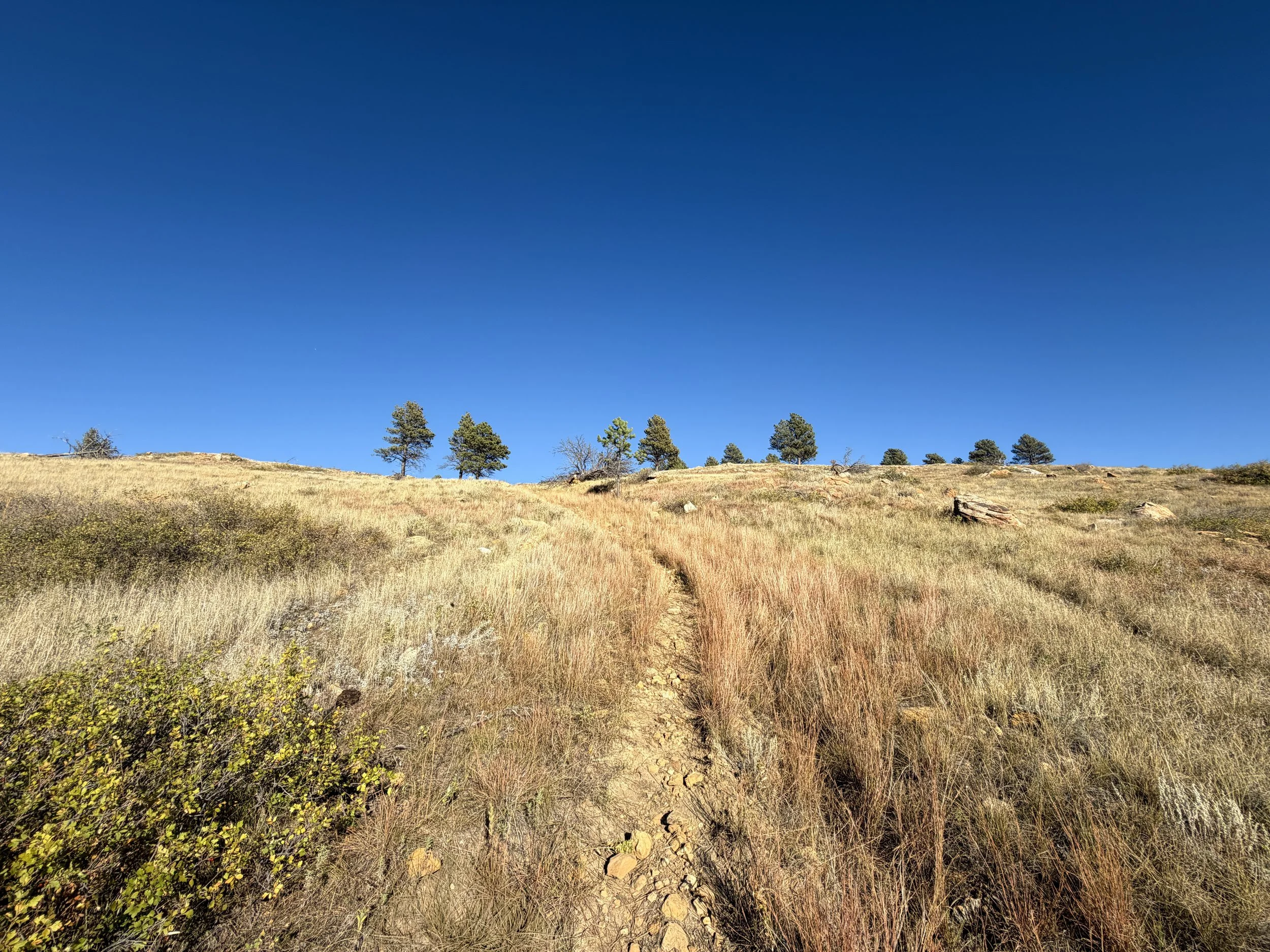 Boland Ridge Hike Wind Cave National Park South Dakota