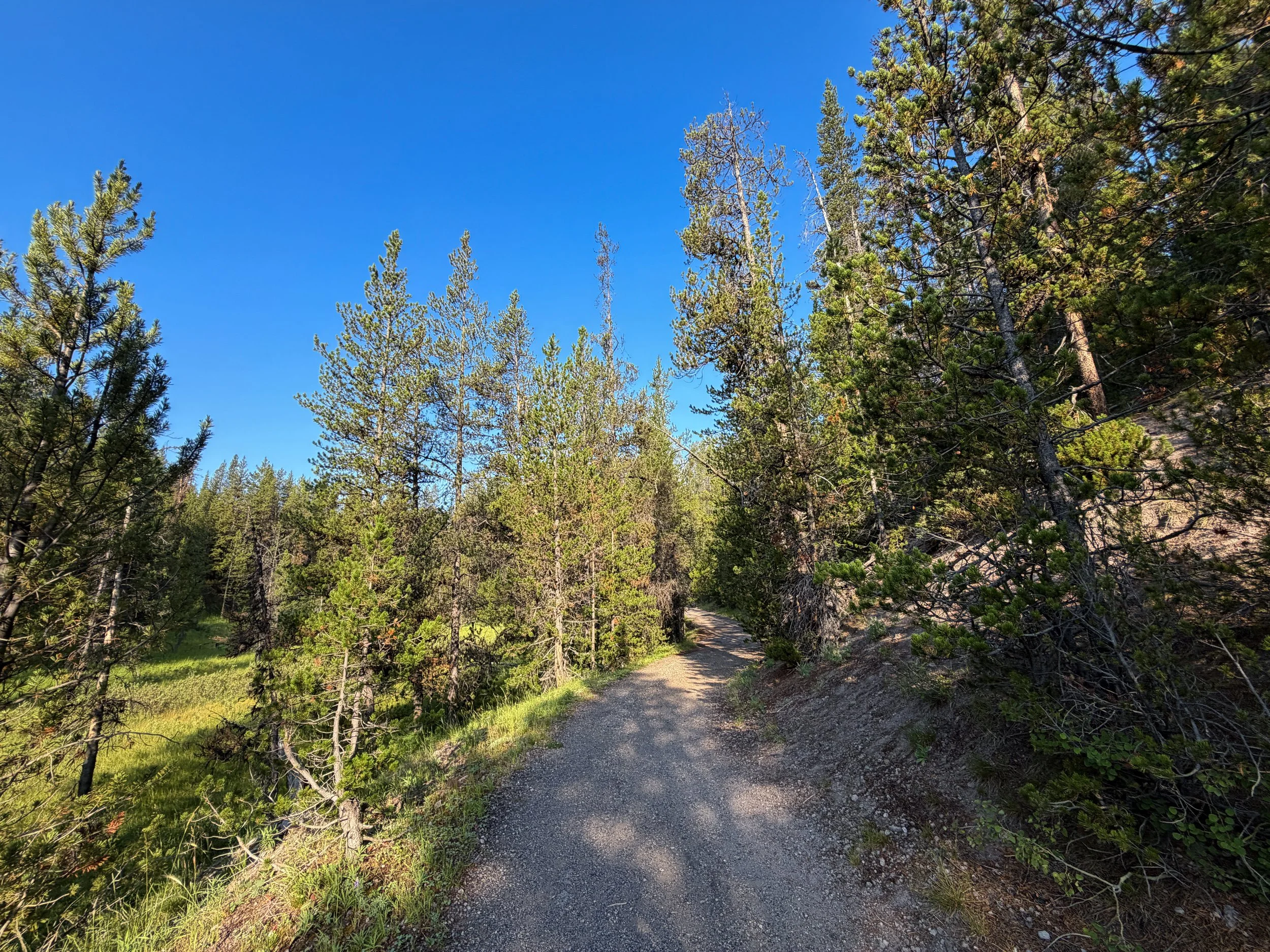 Natural Bridge Trail Yellowstone National Park Wyoming