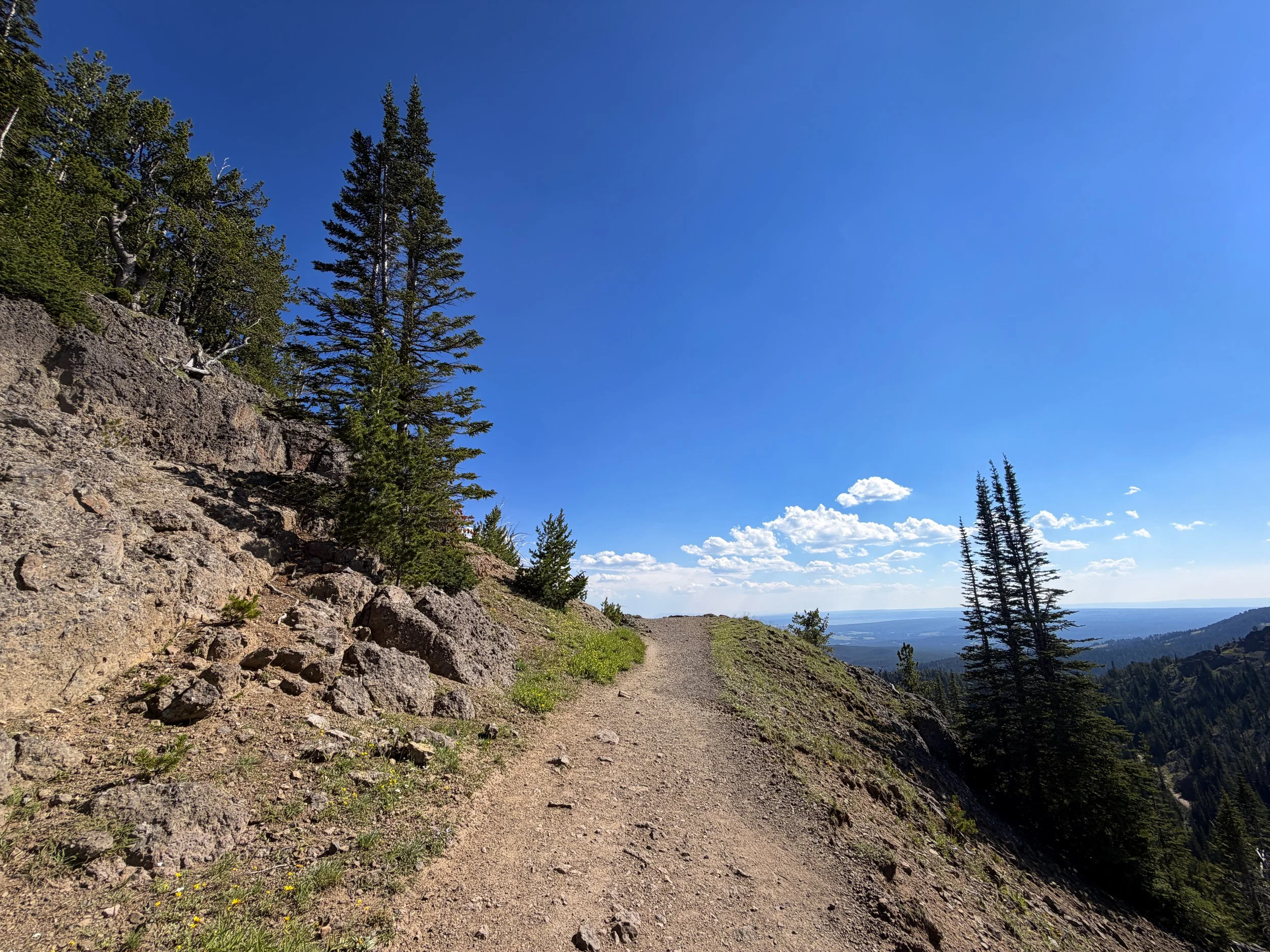 Mt. Washburn Hike via Dunraven Pass Yellowstone National Park Wyoming