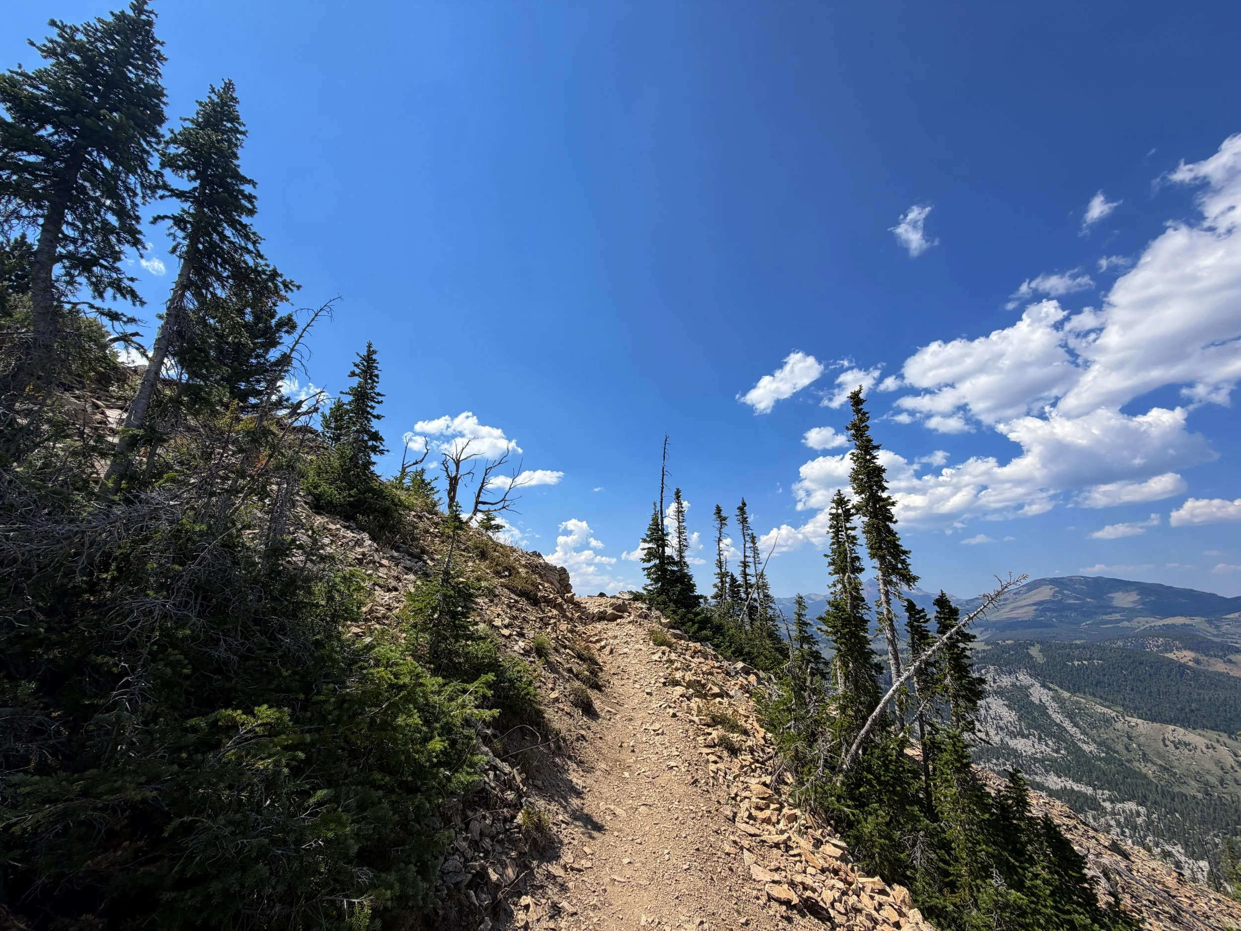 Bunsen Peak Trail Yellowstone National Park Wyoming