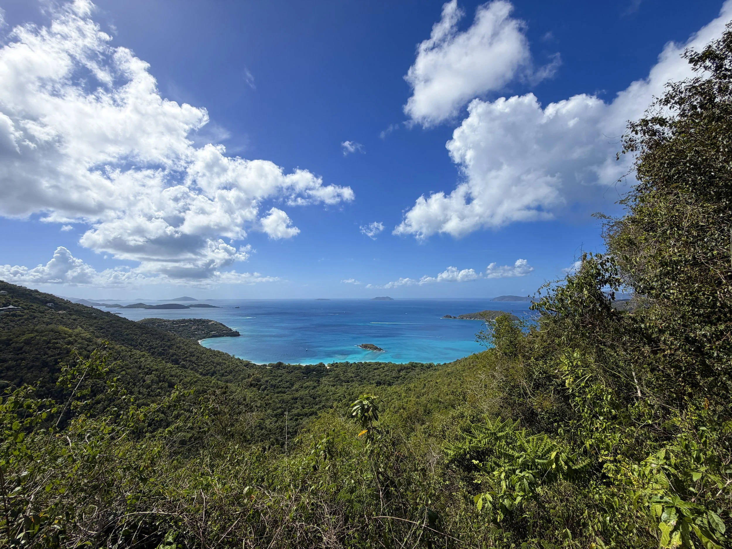 Cinnamon Bay Trail Viewpoint Virgin Islands National Park