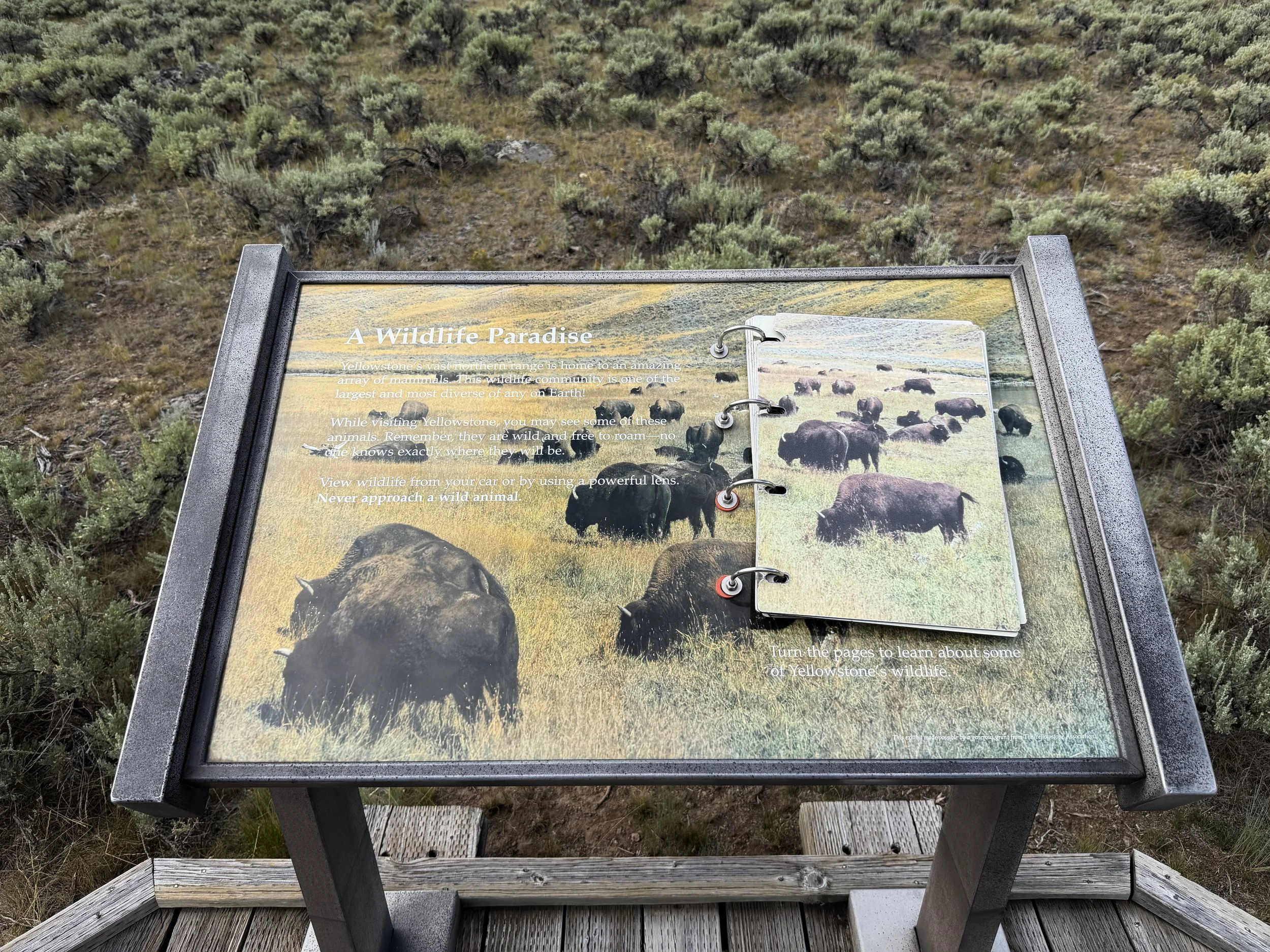 Forces of the Northern Range Trail Yellowstone National Park Wyoming
