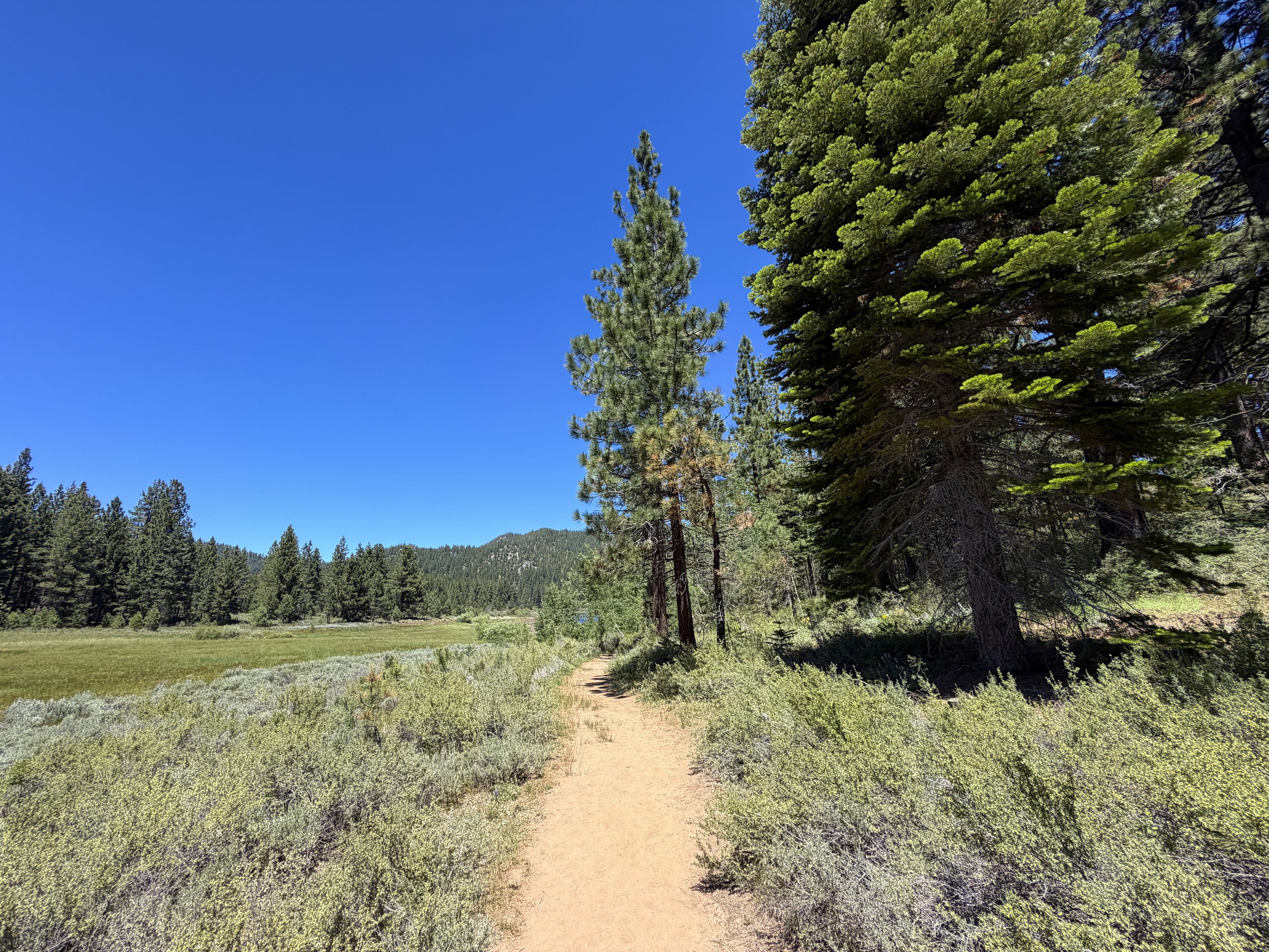 Spooner Lake Loop Trail Lake Tahoe Nevada