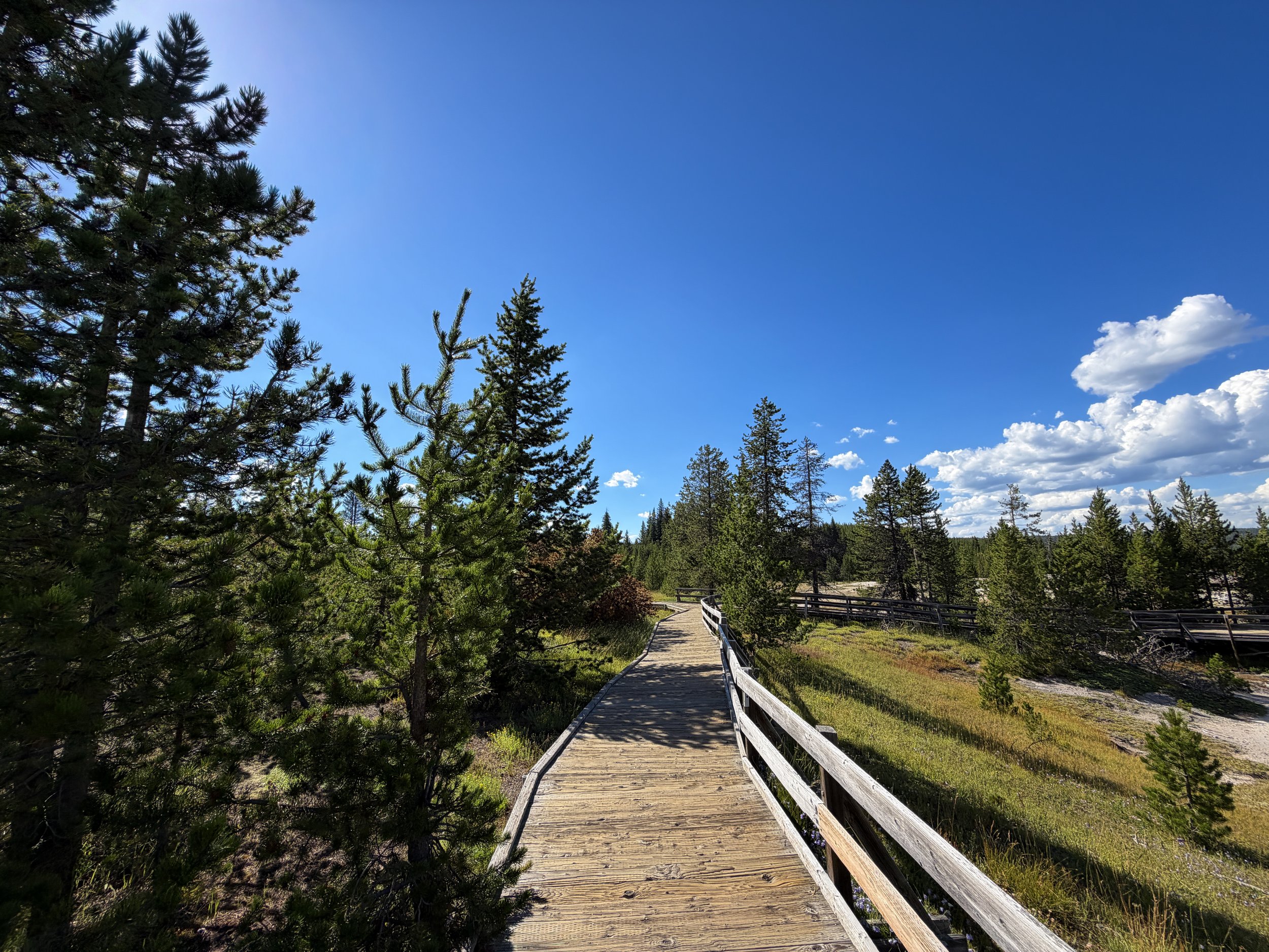 West Thumb Geyser Basin Trail Yellowstone National Park Wyoming