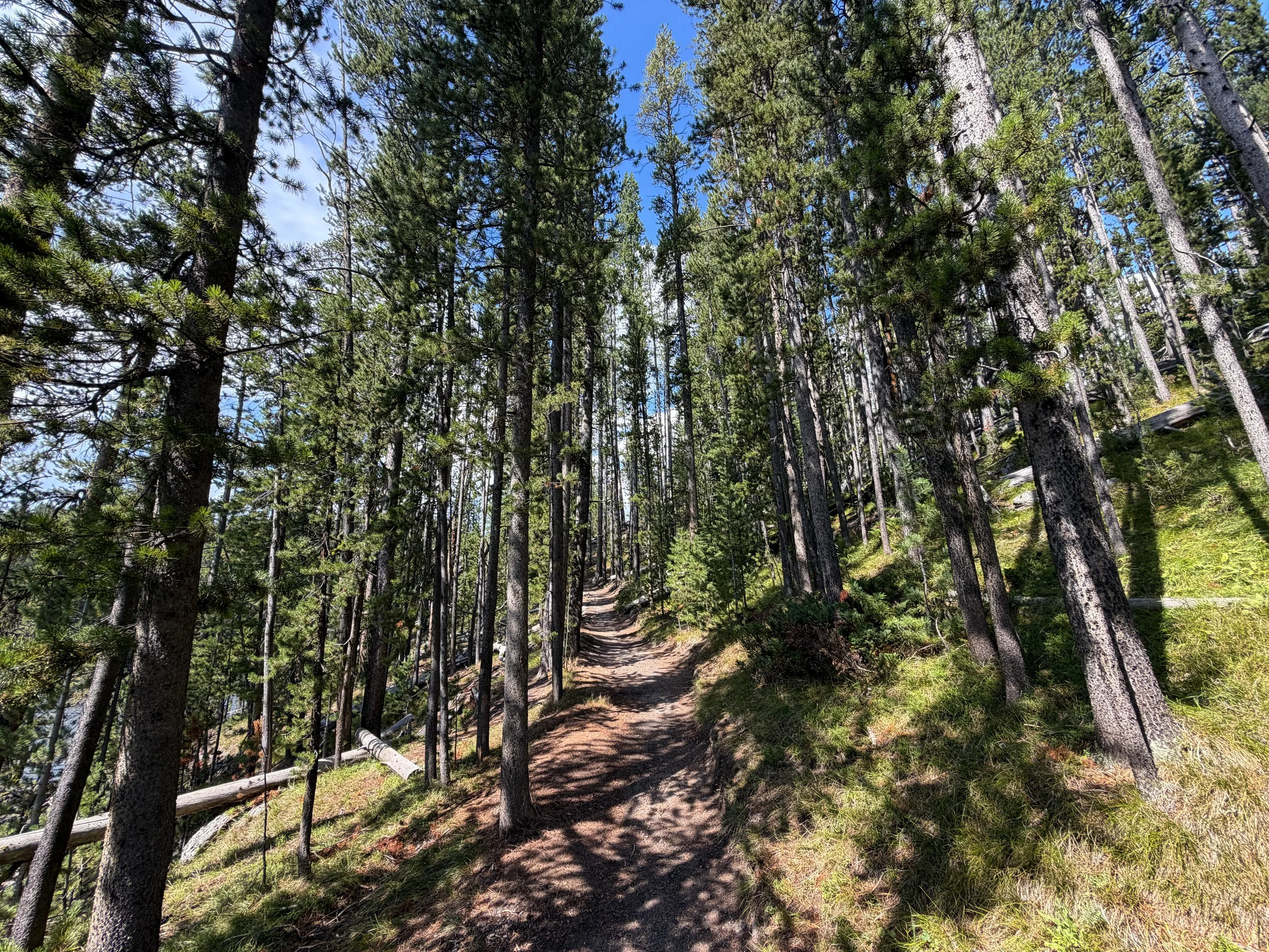 South Rim Trail Yellowstone National Park Wyoming