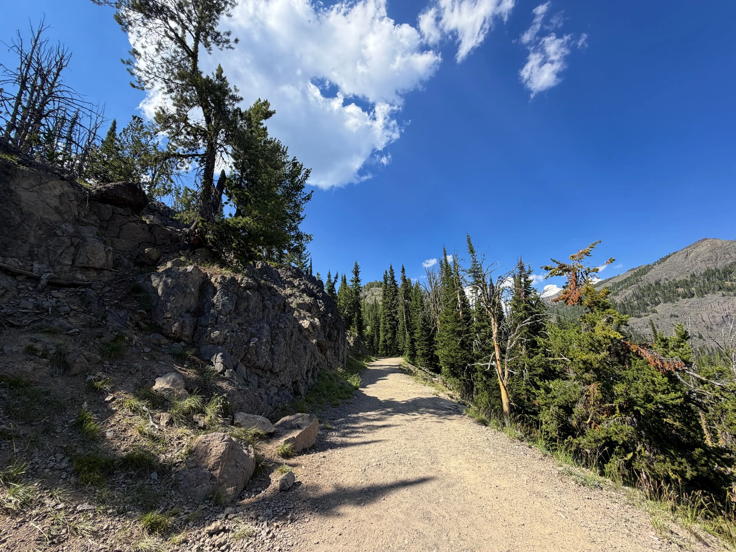 Mt. Washburn Trail via Dunraven Pass Yellowstone National Park Wyoming