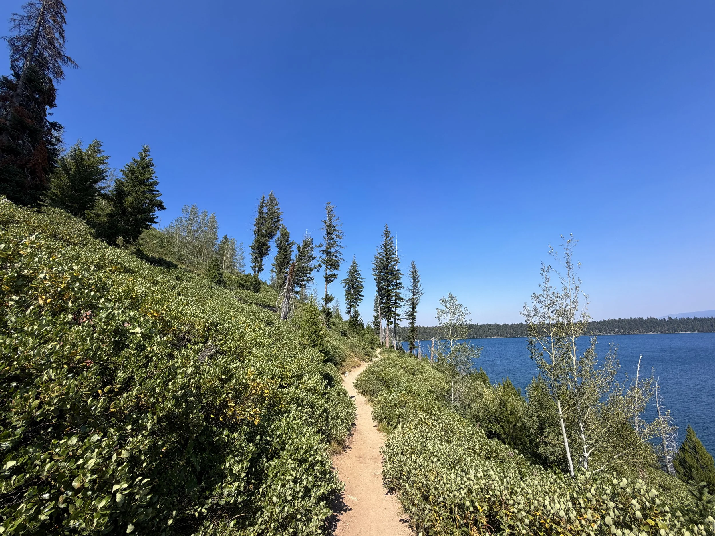 Jenny Lake Loop Trail Grand Teton National Park Wyoming