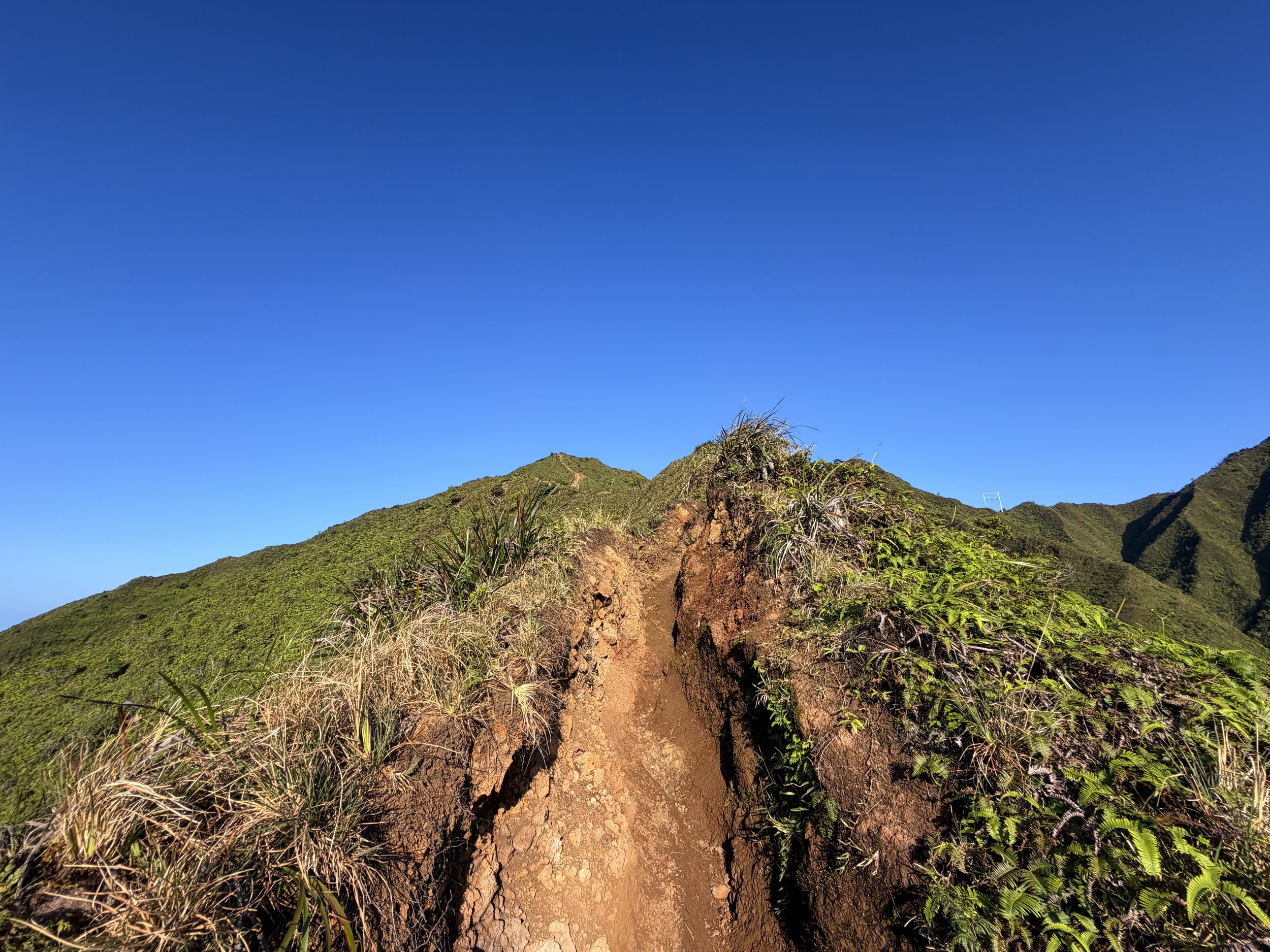 Moanalua Middle Ridge Trail Back Way to the Stairway to Heaven Oahu Hawaii