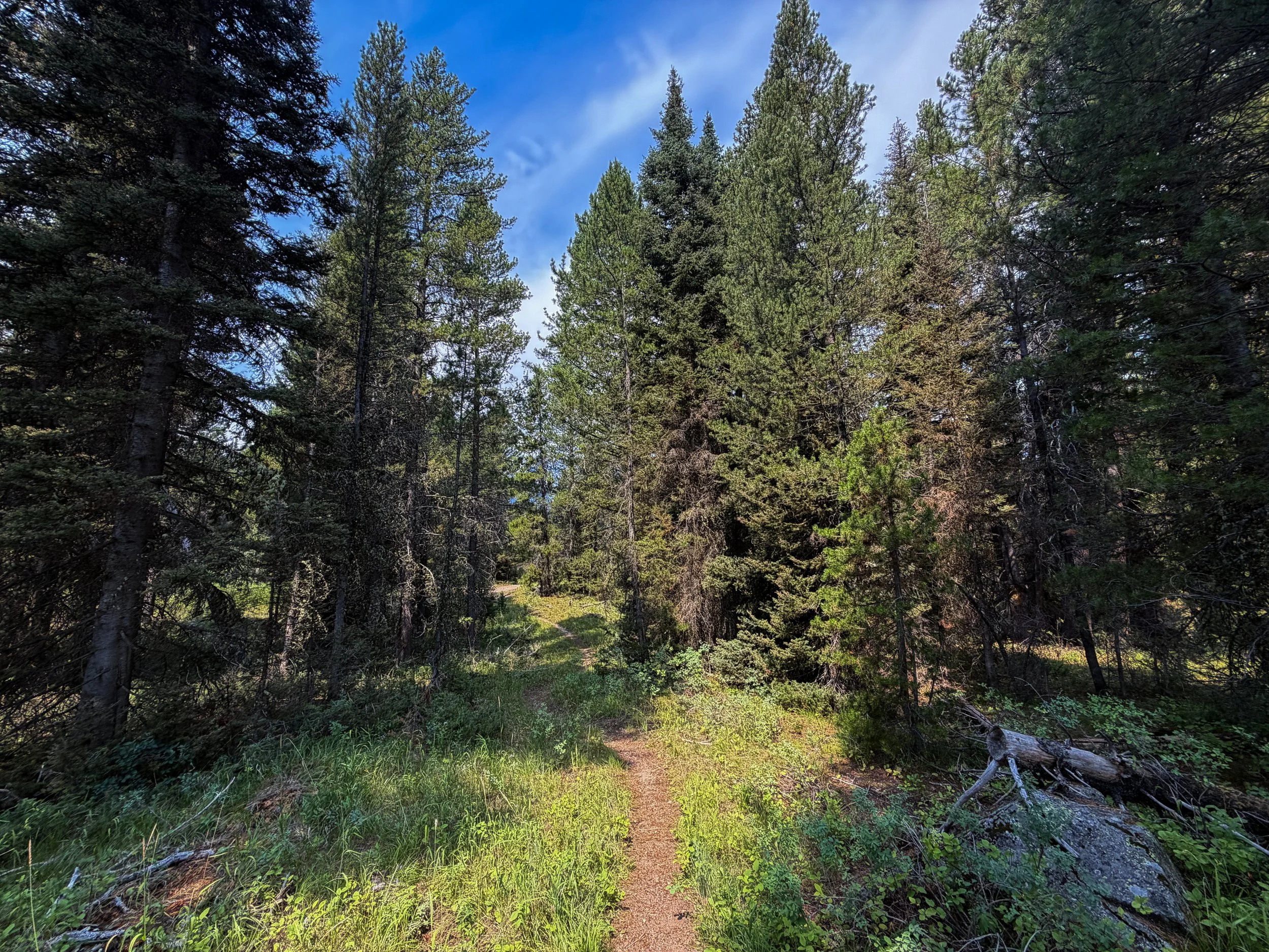 Boulder Ridge Trail Grand Teton National Park Wyoming