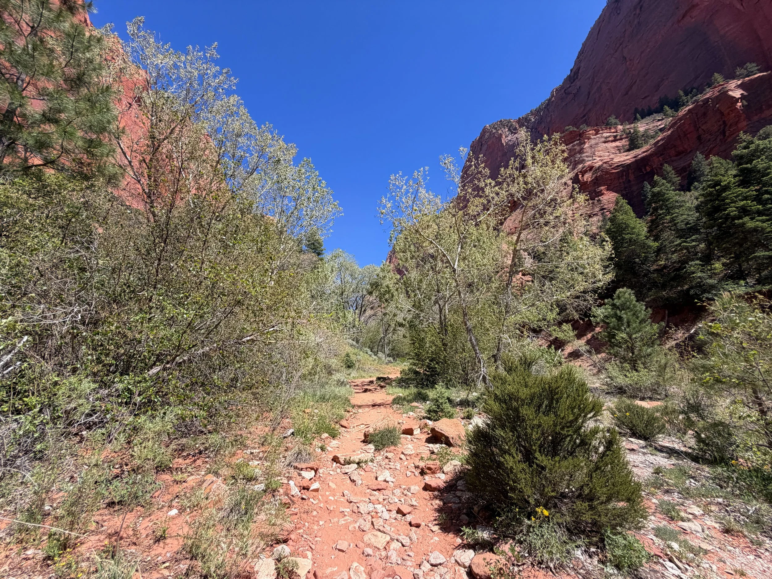 Taylor Creek Trail to Double Arch Alcove Zion National Park Utah