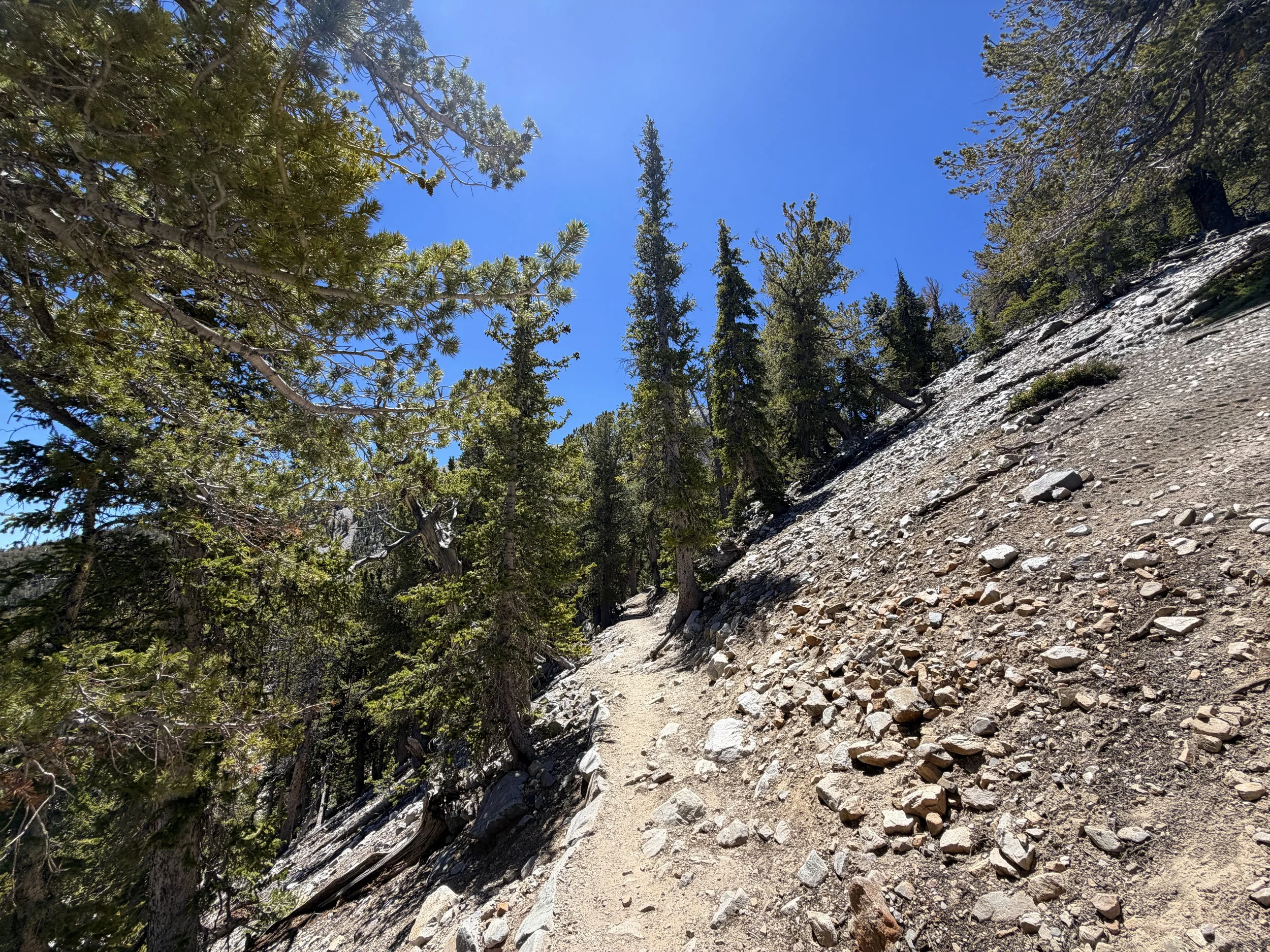 Bristlecone Pine Trail Great Basin National Park Nevada
