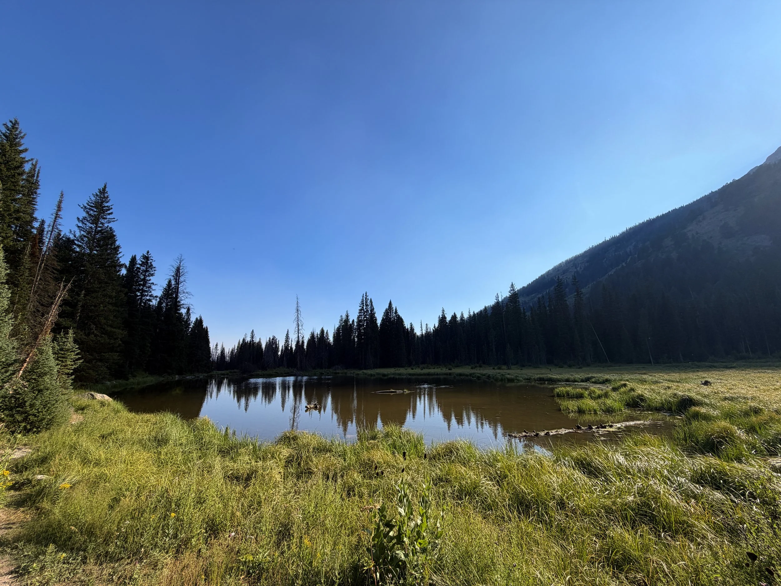 Moose Ponds Grand Teton National Park Wyoming