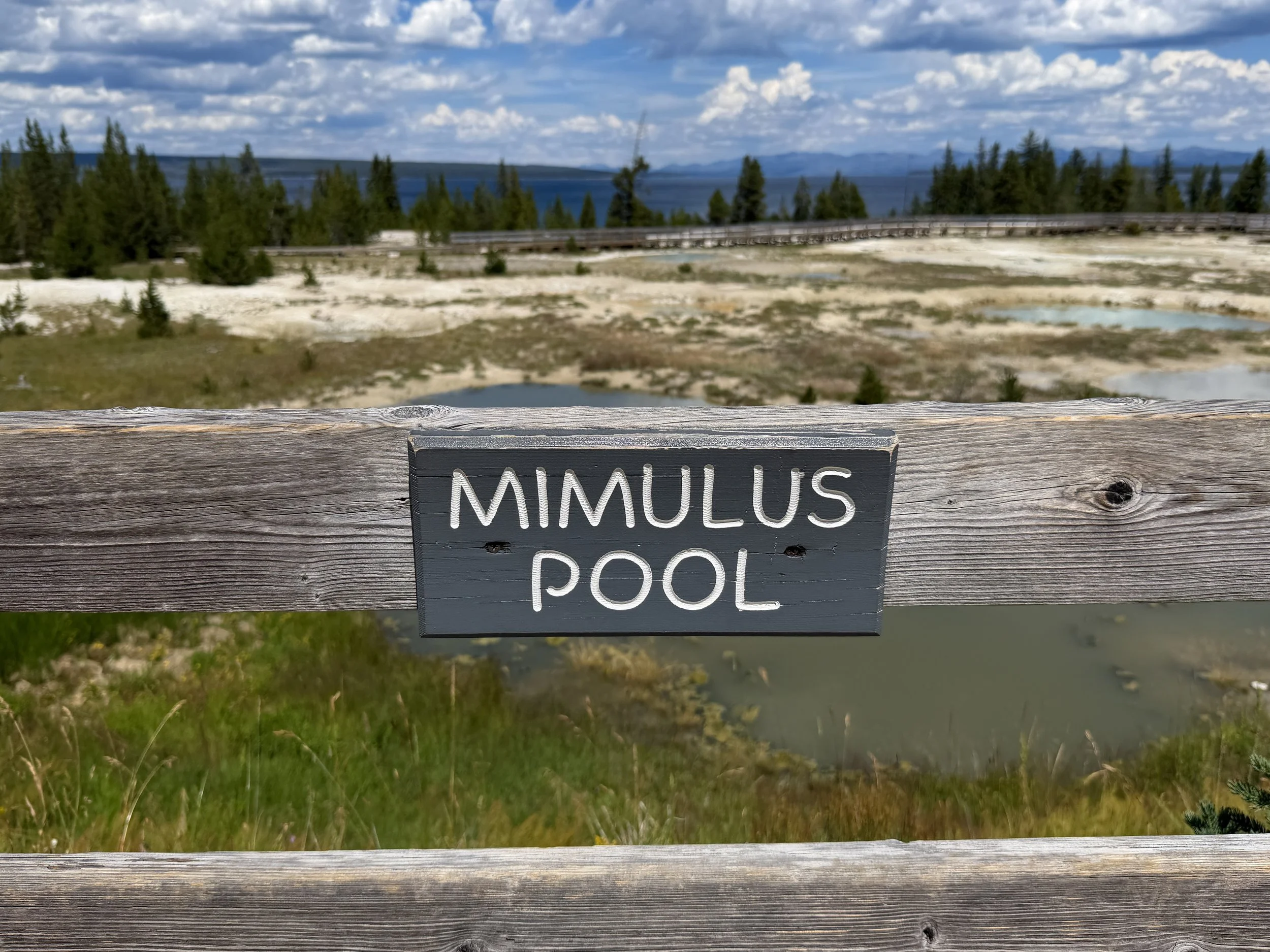 Mimulus Pool West Thumb Geyser Basin Trail Yellowstone National Park Wyoming
