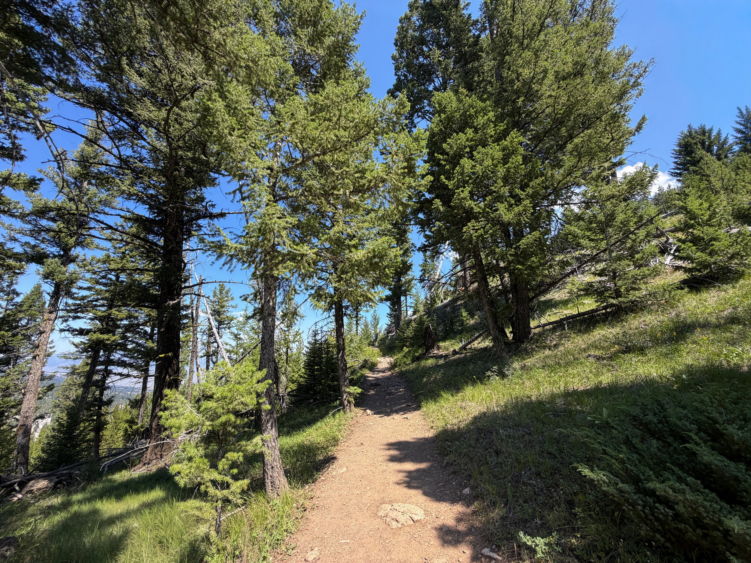 Bunsen Peak Trail Yellowstone National Park Wyoming
