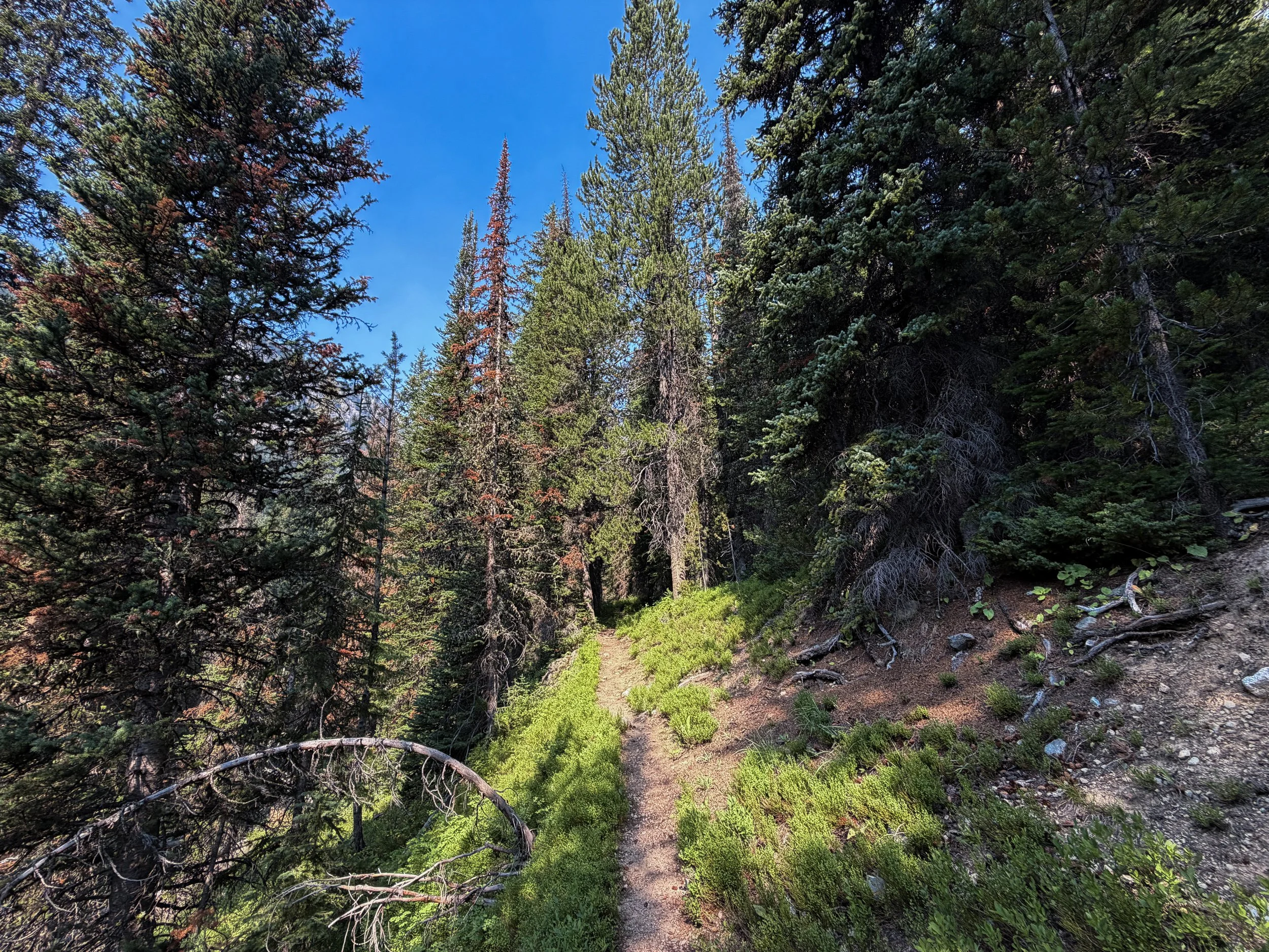 East Rosebud Trail The Beaten Path Beartooth Mountains Montana