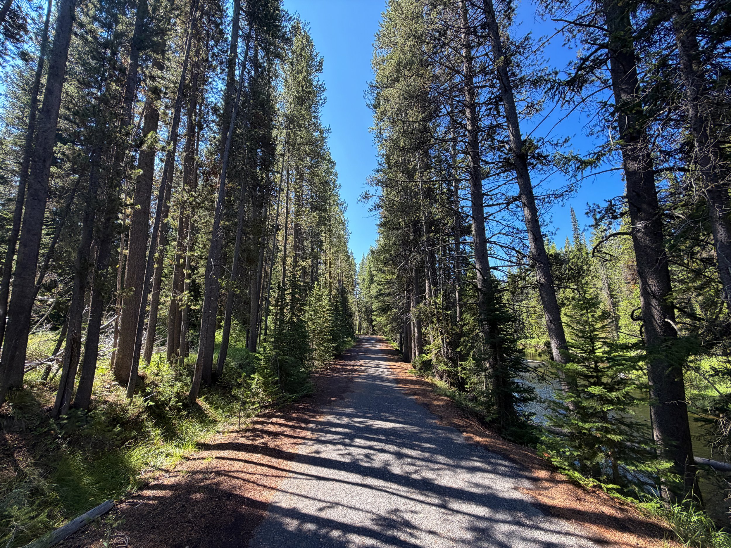 Lone Star Geyser Trail Yellowstone National Park Wyoming