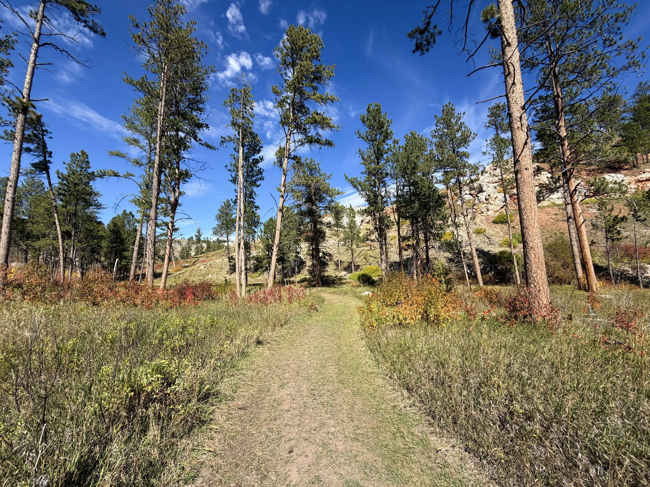 Canyons Trail Jewel Cave National Monument Black Hills South Dakota