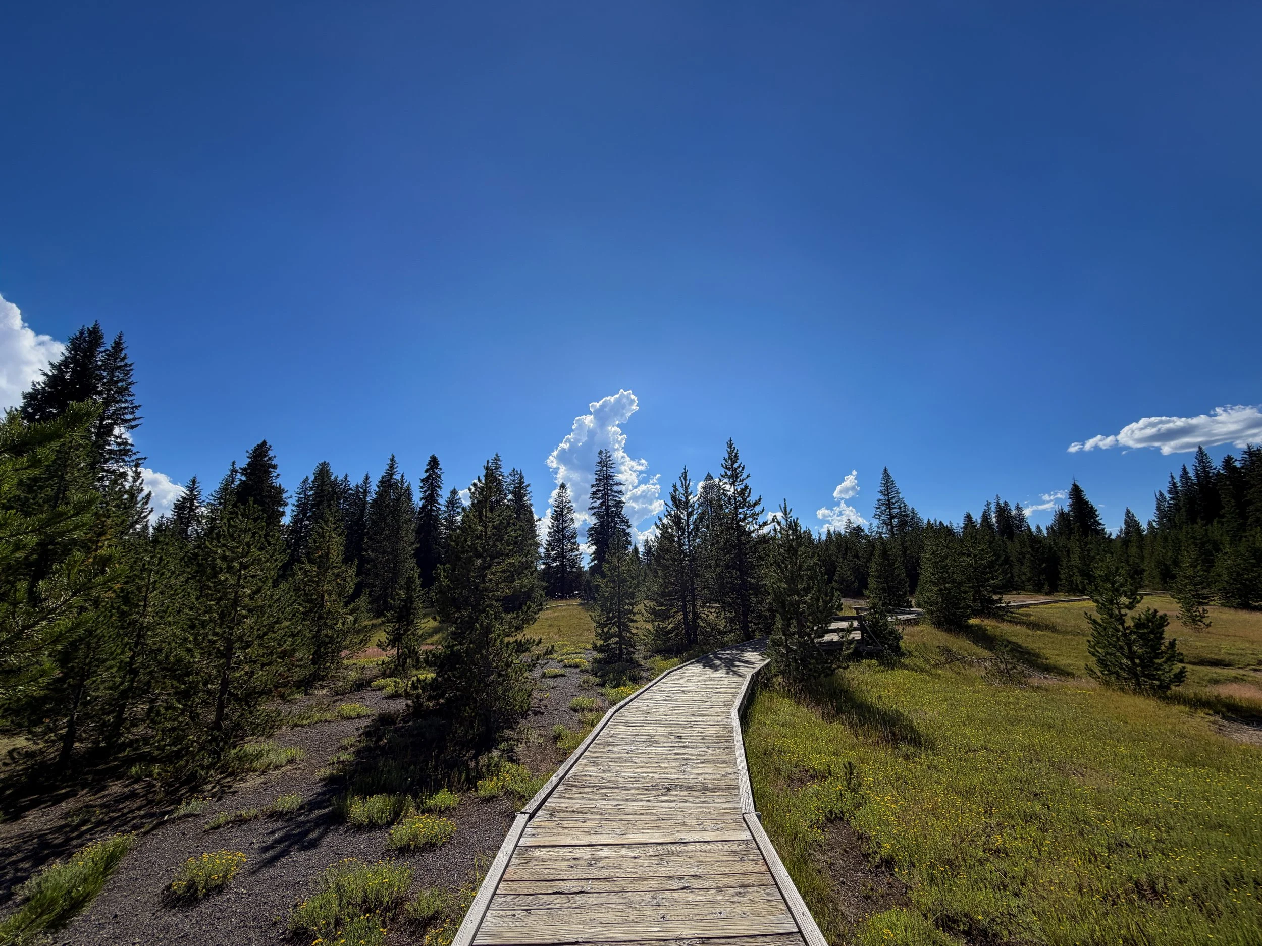 West Thumb Geyser Basin Trail Yellowstone National Park Wyoming