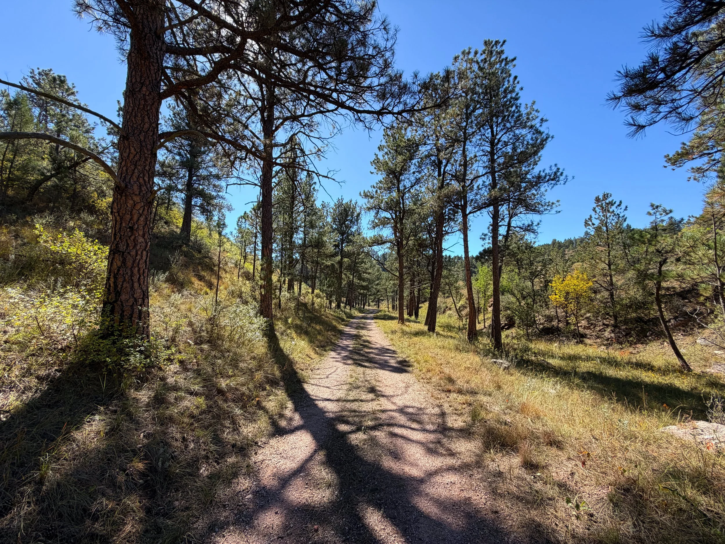 Wind Cave Canyon Trail Wind Cave National Park South Dakota