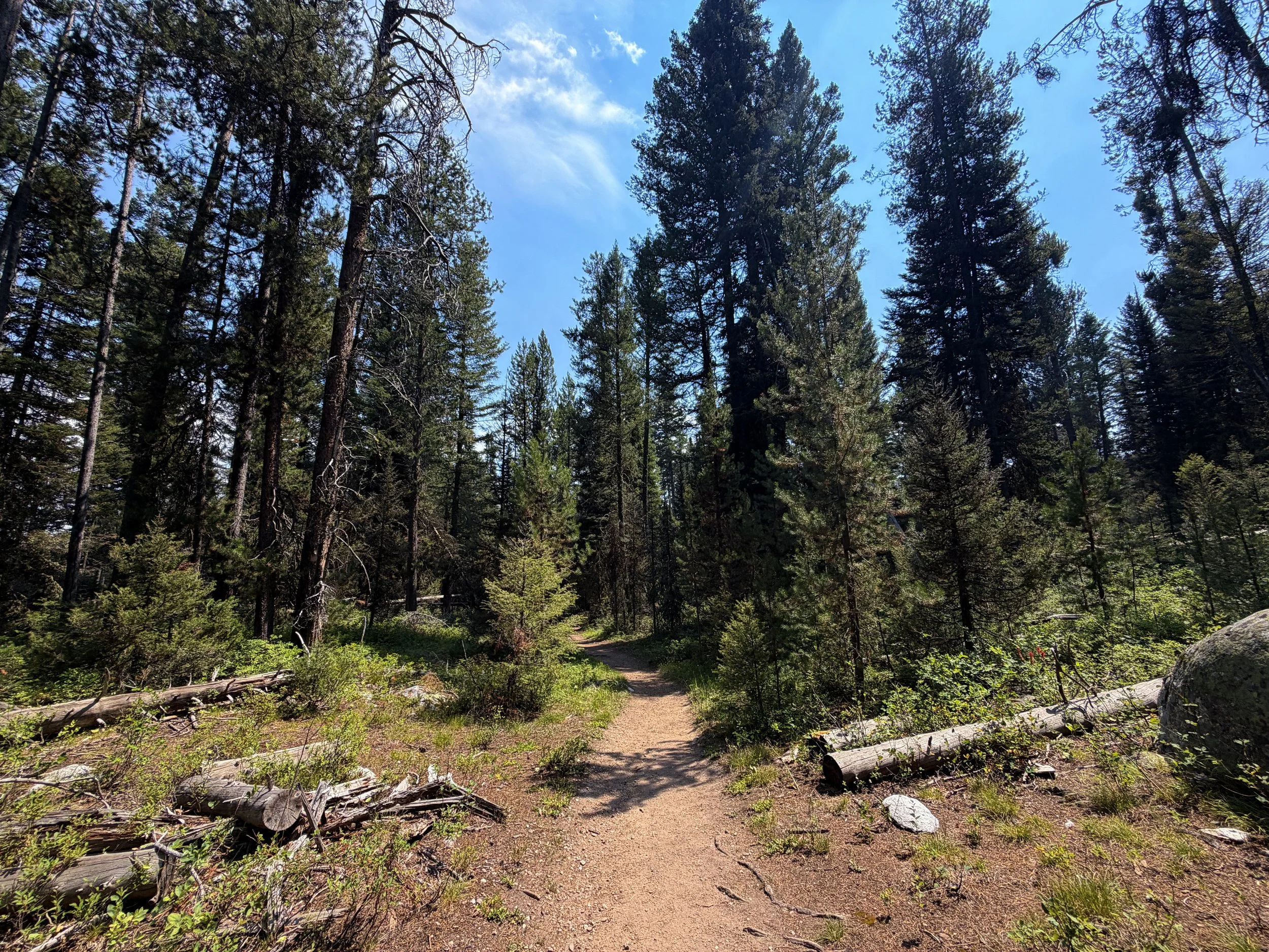 Phelps Lake Loop Trail Grand Teton National Park Wyoming