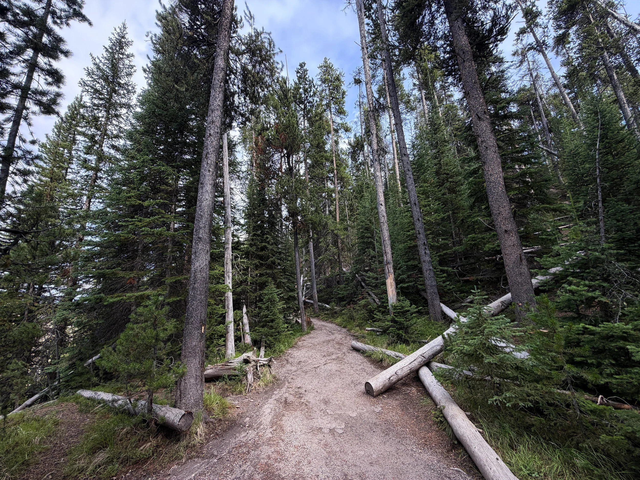 South Rim Trail Yellowstone National Park Wyoming