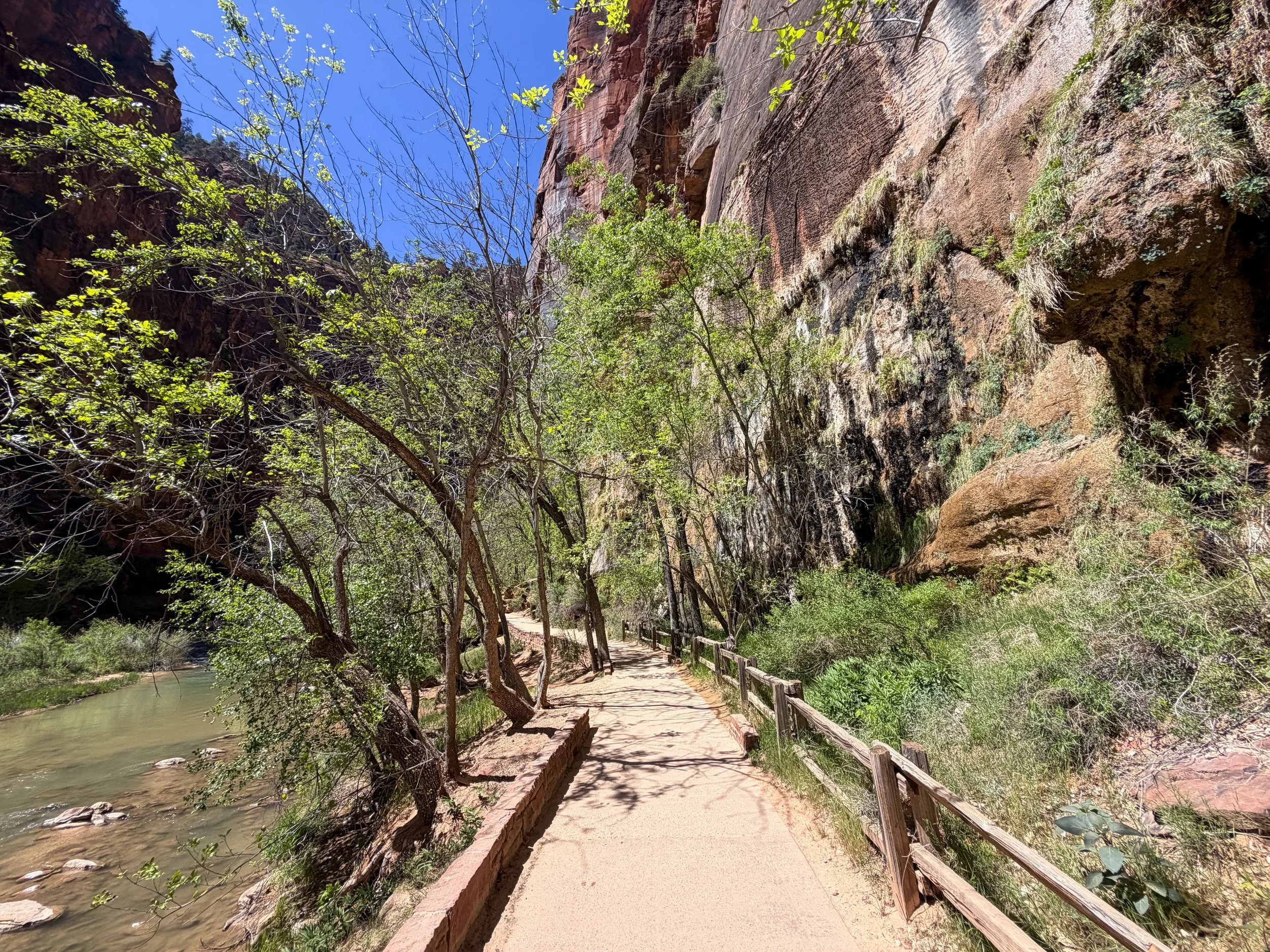 Riverside Walk to the Narrows Zion National Park Utah