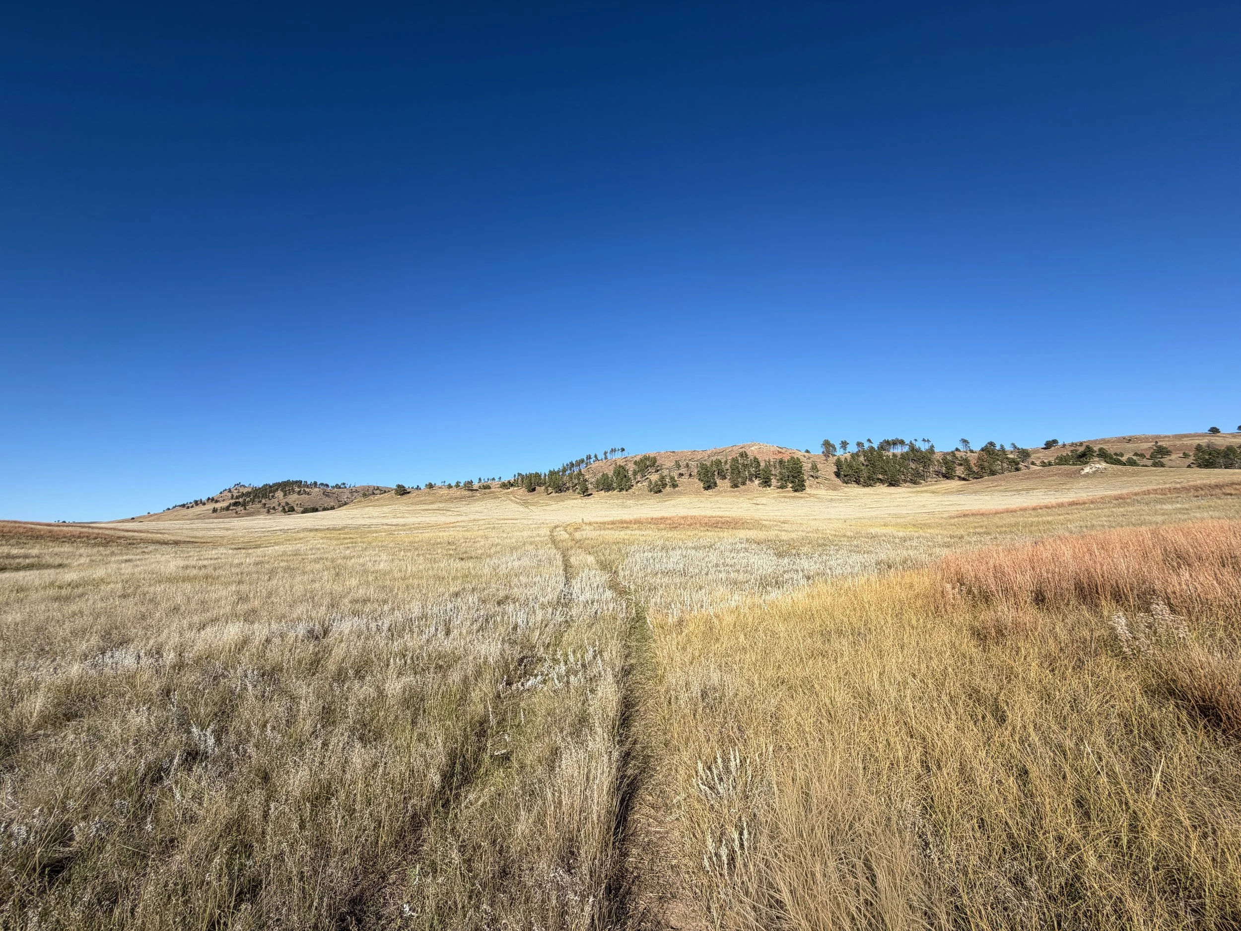 Boland Ridge Trail Wind Cave National Park South Dakota