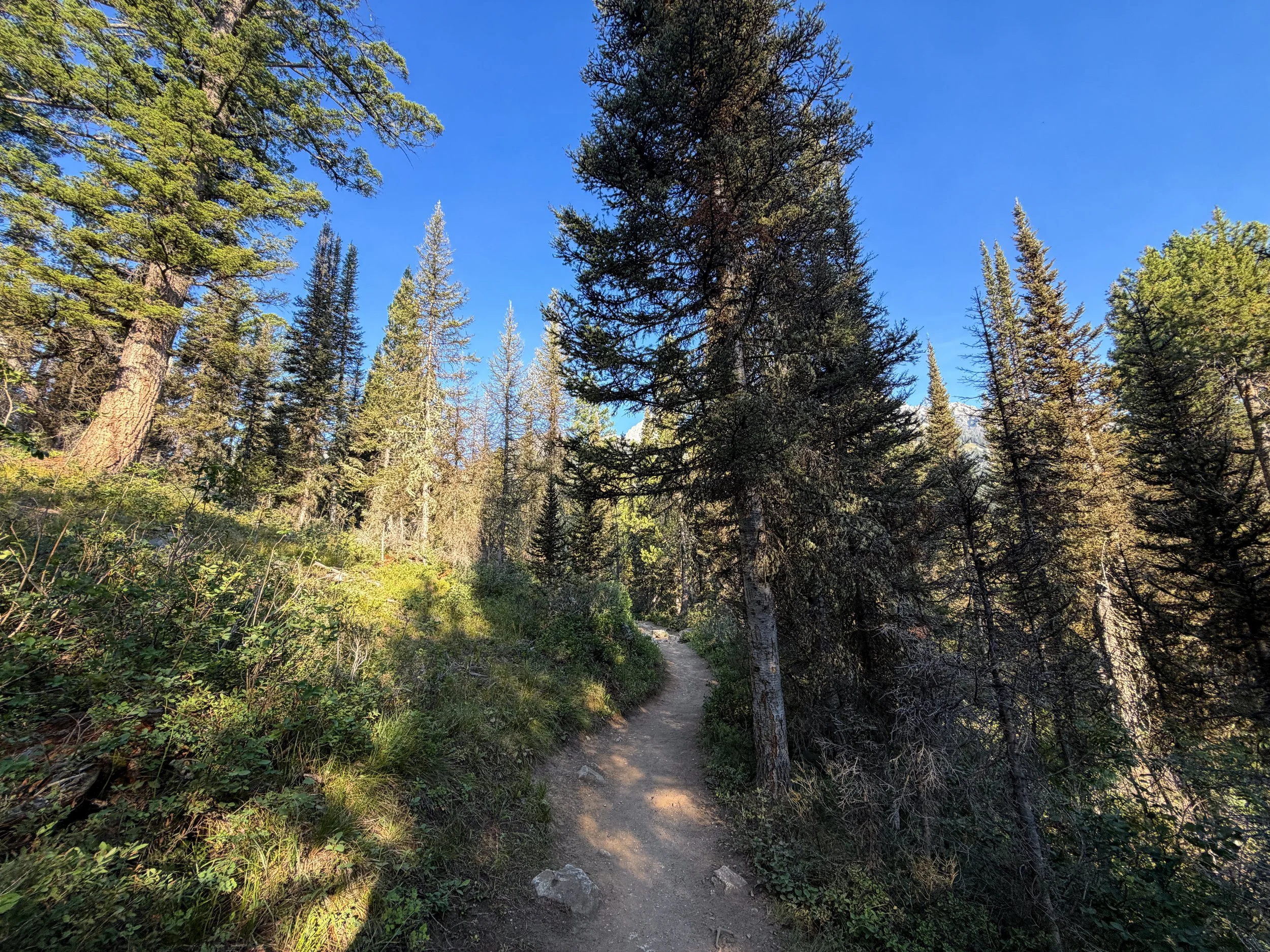 Delta Lake Hike Grand Teton National Park Wyoming