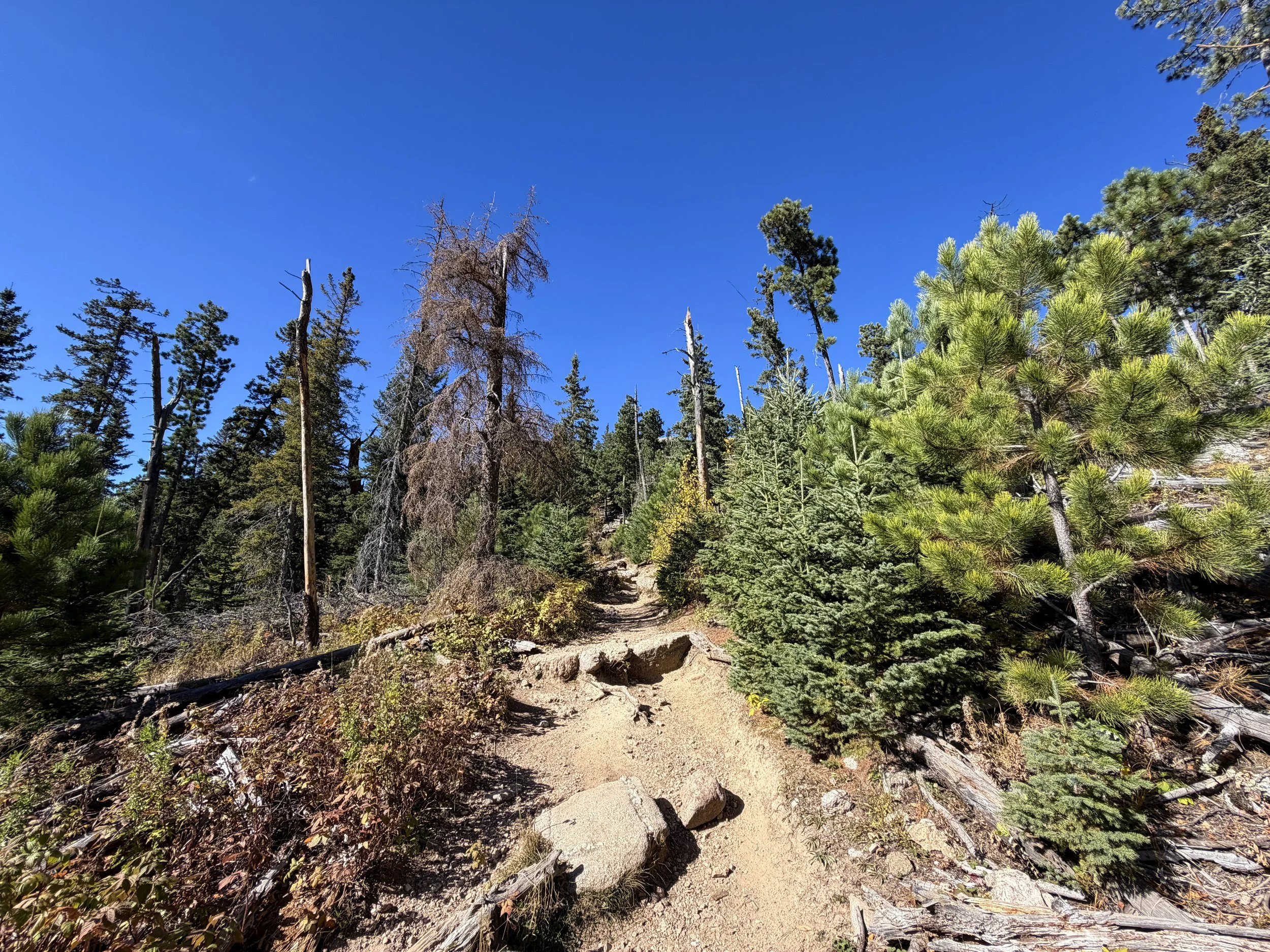 Black Elk Peak Hike via Custer State Park Black Hills South Dakota