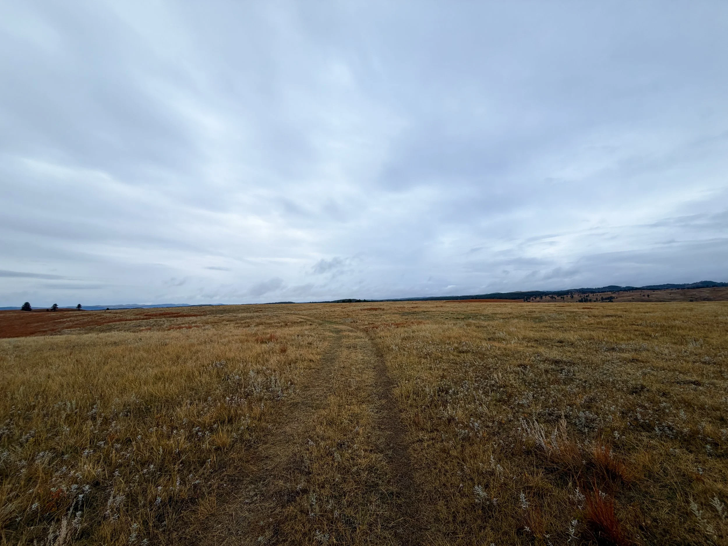 Highland Creek Trail Wind Cave National Park South Dakota