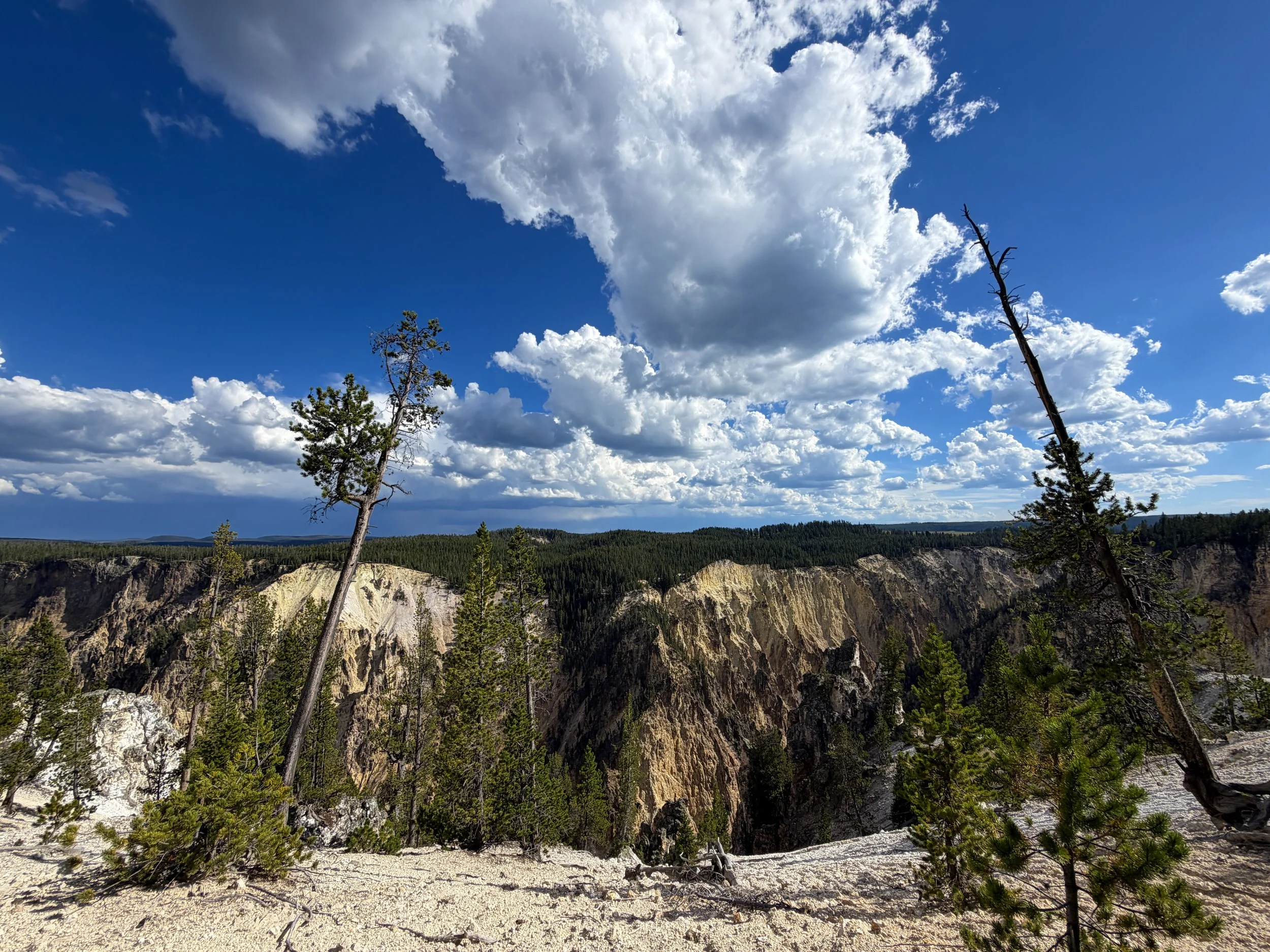 North Rim Trail Yellowstone National Park Wyoming