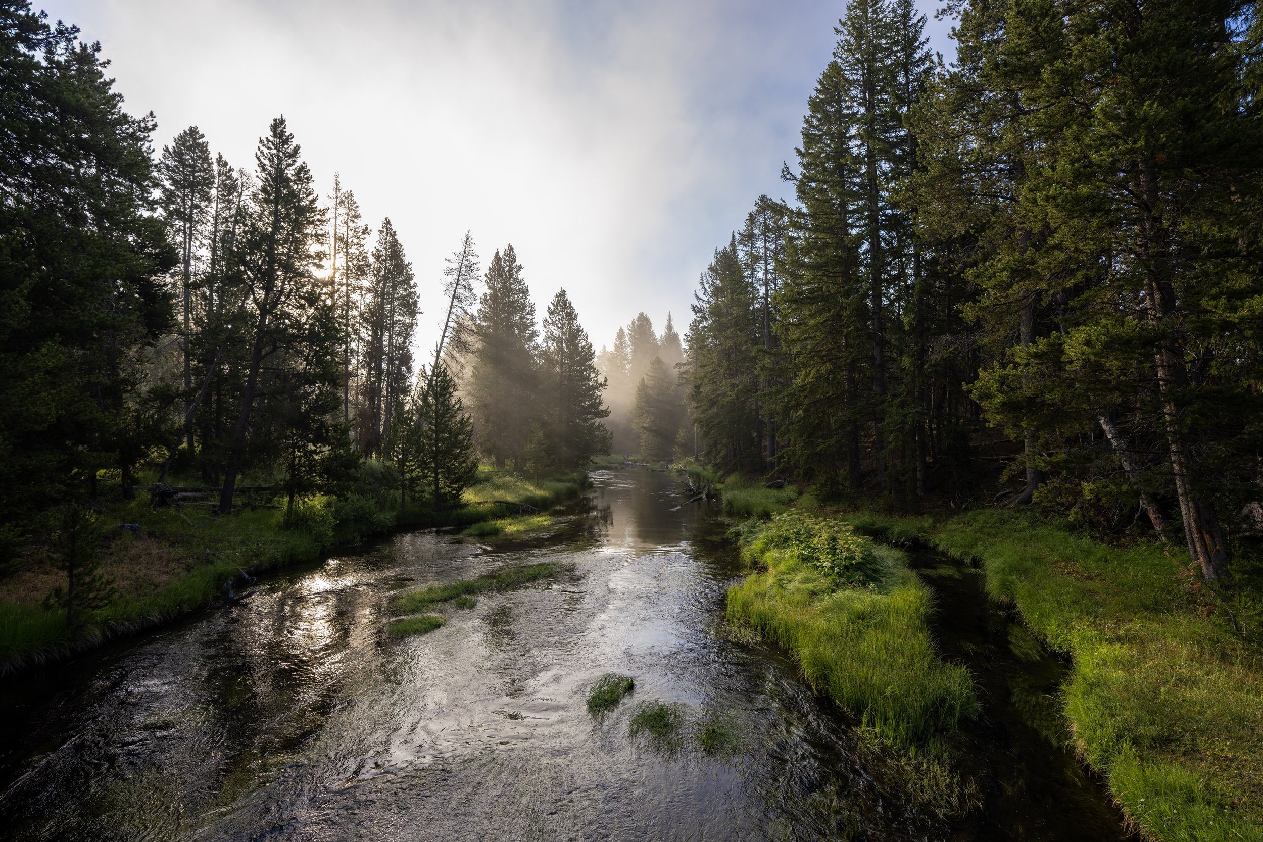 Firehole River Upper Geyser Basin Trail Yellowstone National Park Wyoming