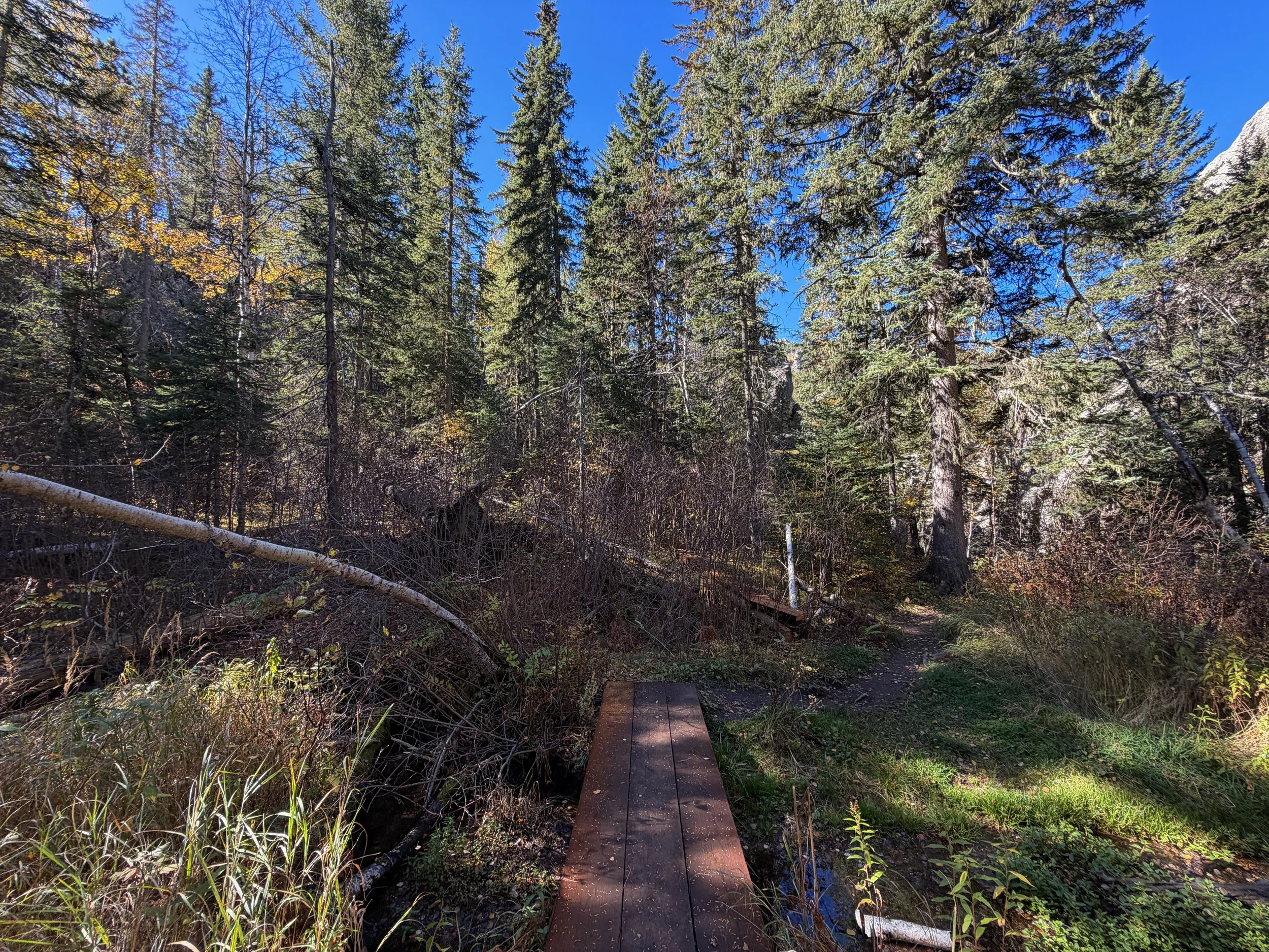 Sunday Gulch Loop Hike Custer State Park Black Hills South Dakota