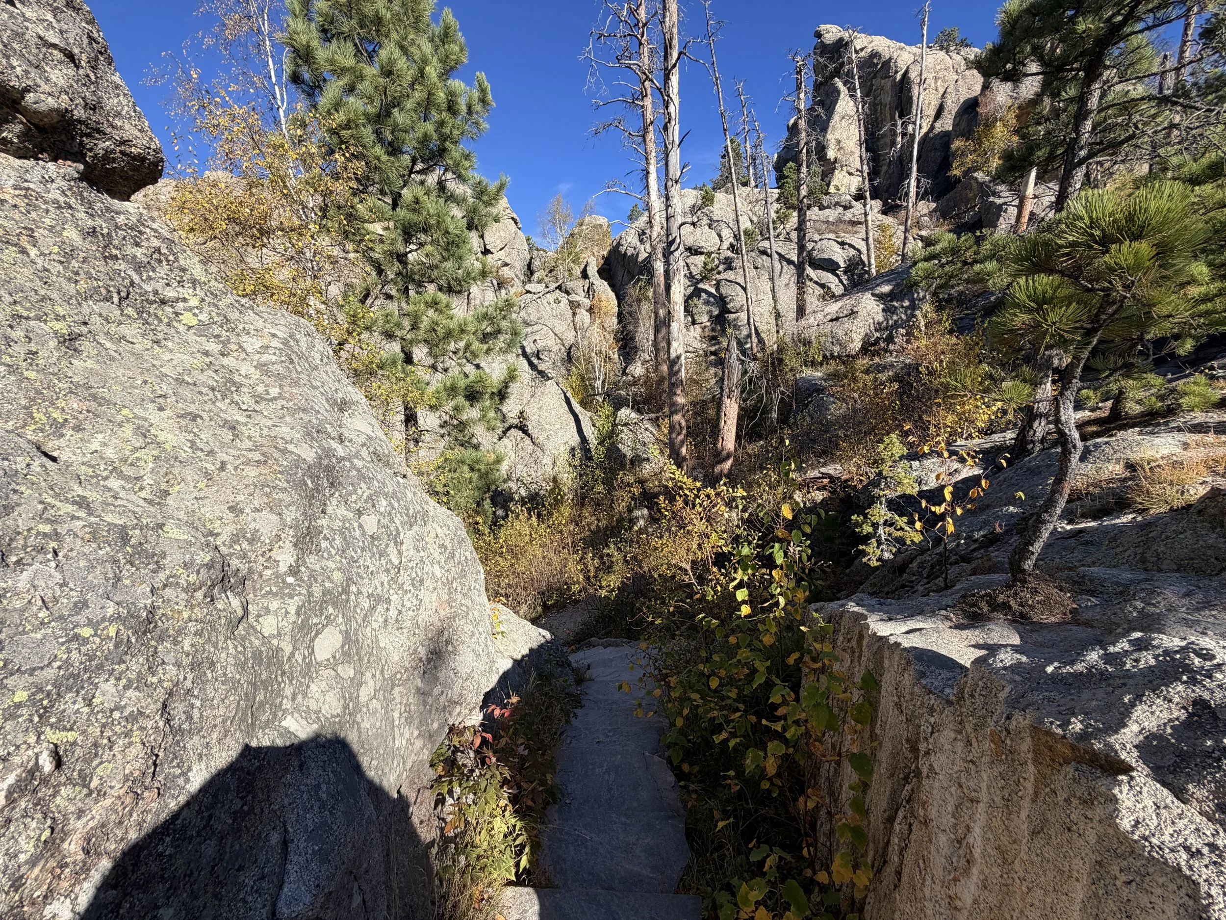 Sylvan Lake to Sunday Gulch Trail Custer State Park Black Hills South Dakota