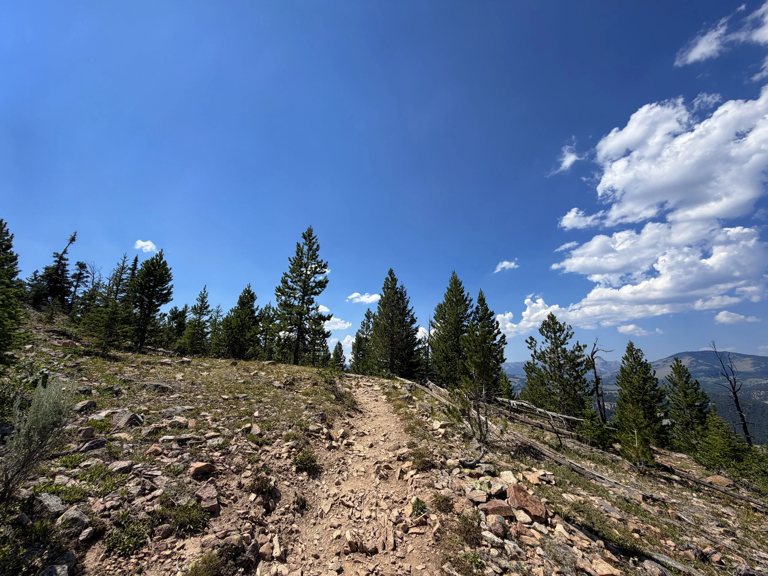 Bunsen Peak Trail Yellowstone National Park Wyoming